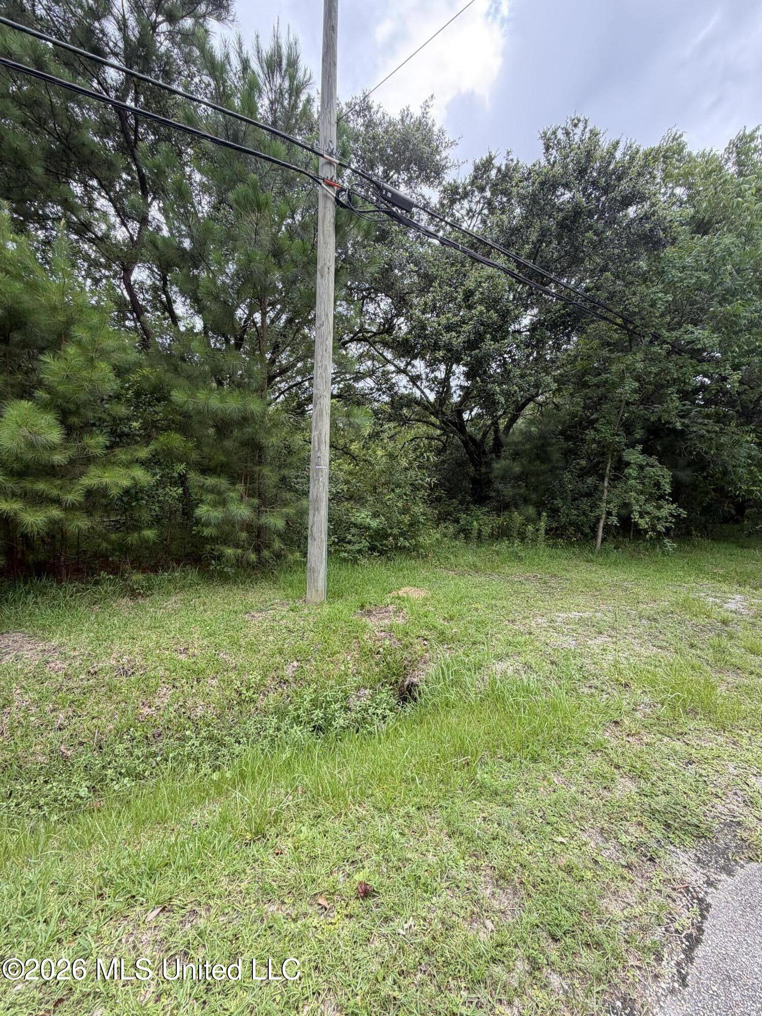 1465 Blue Meadow Road Property Photo 1