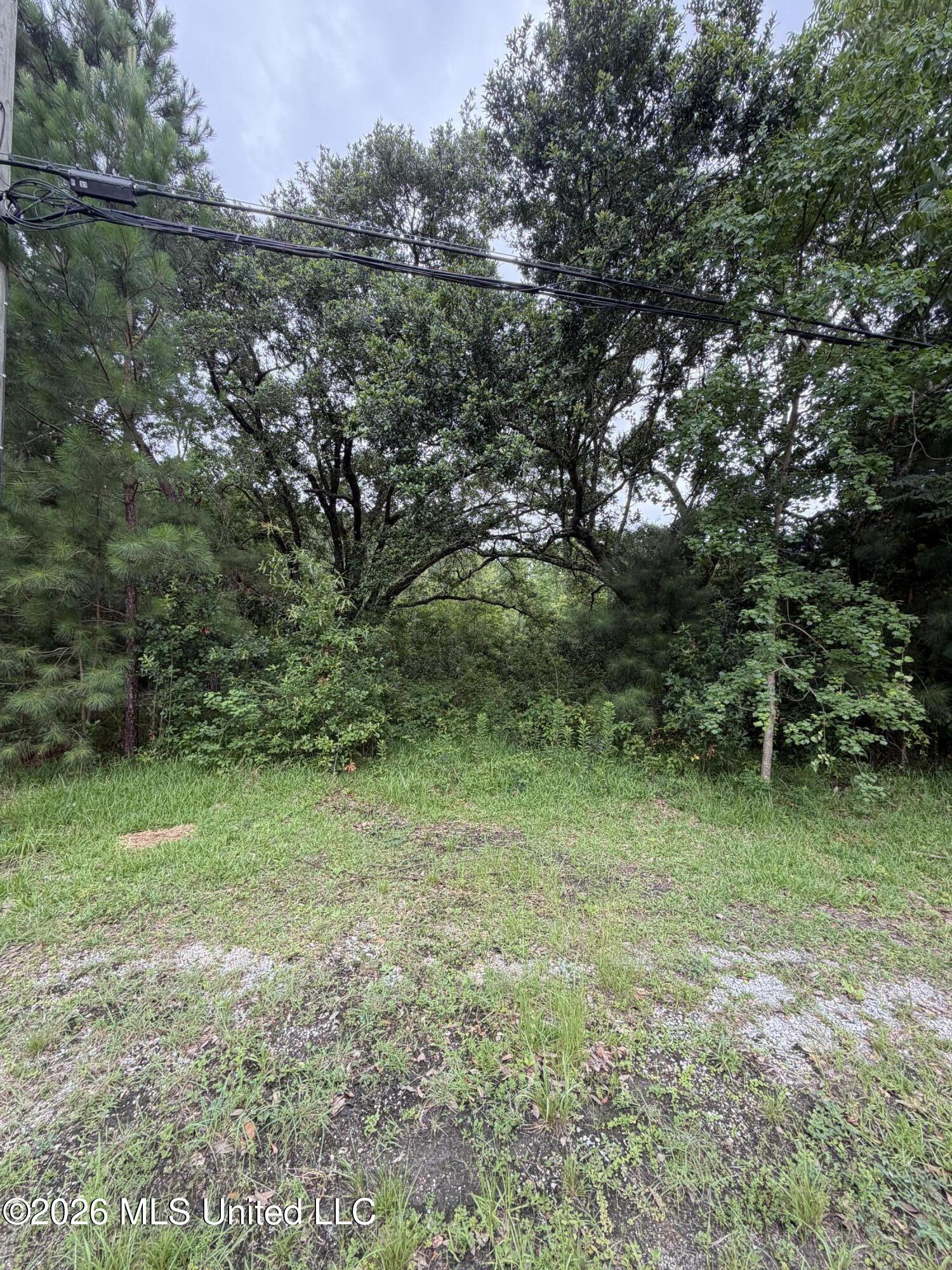 1465 Blue Meadow Road Property Photo 2