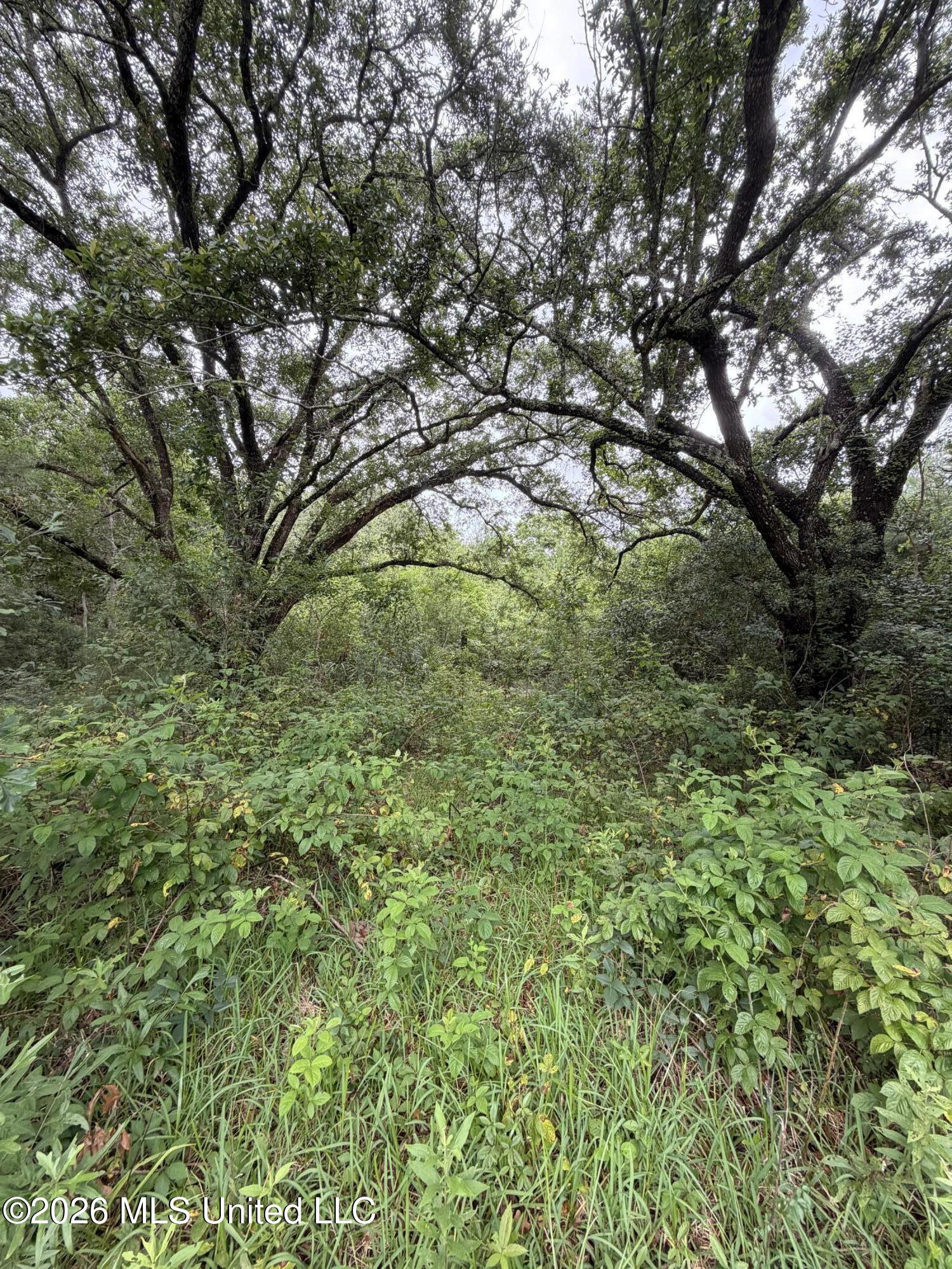 1465 Blue Meadow Road Property Photo 3