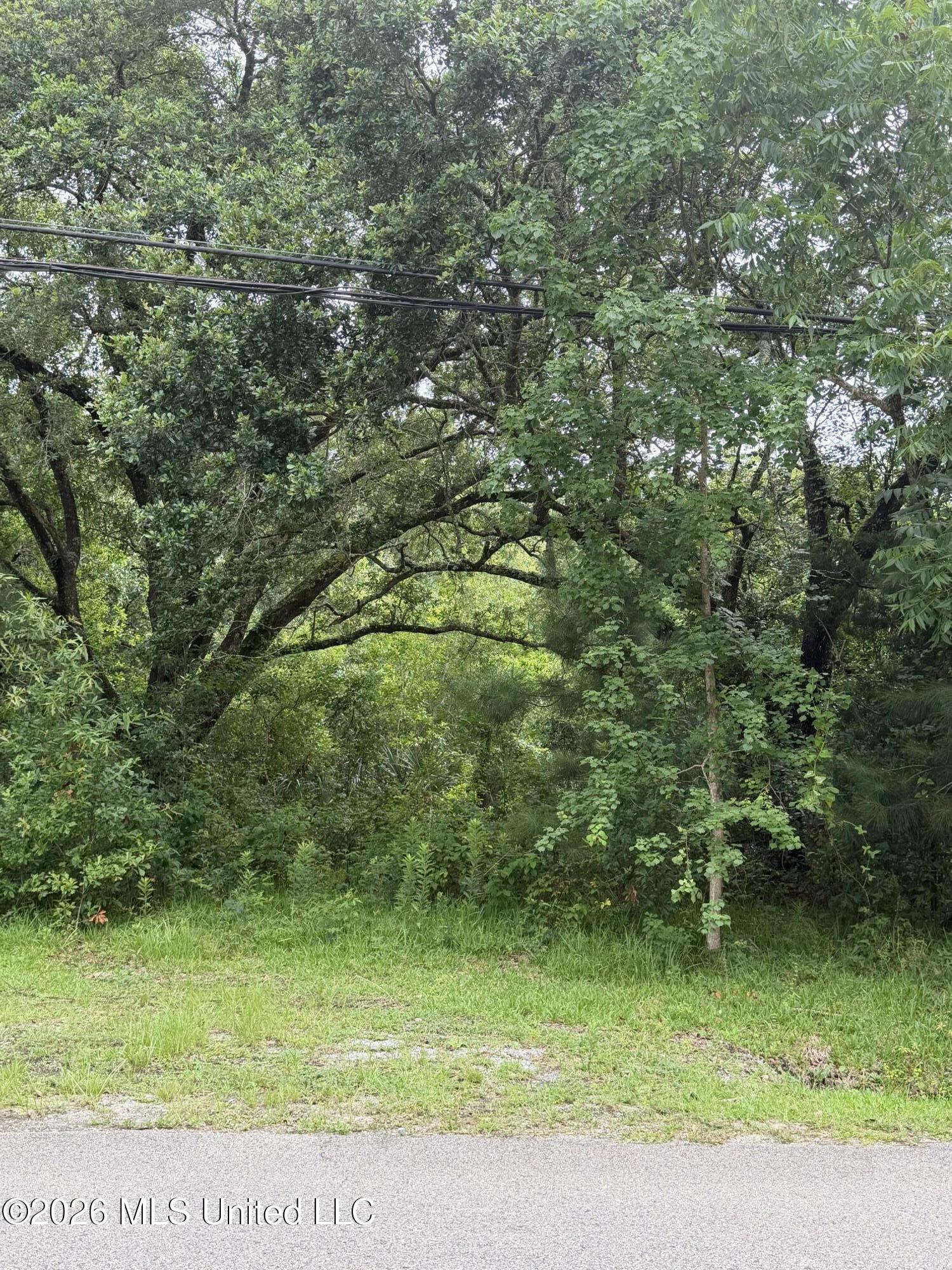 1465 Blue Meadow Road Property Photo 4