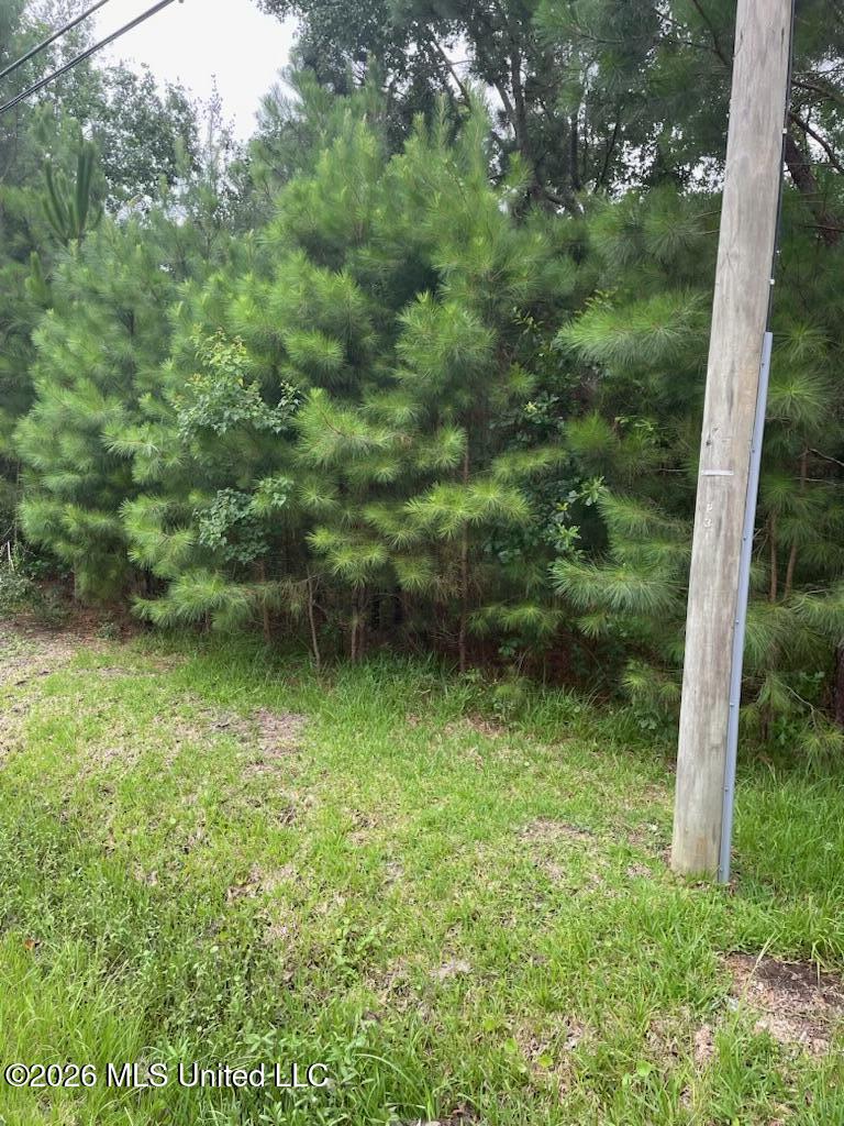 1465 Blue Meadow Road Property Photo 5