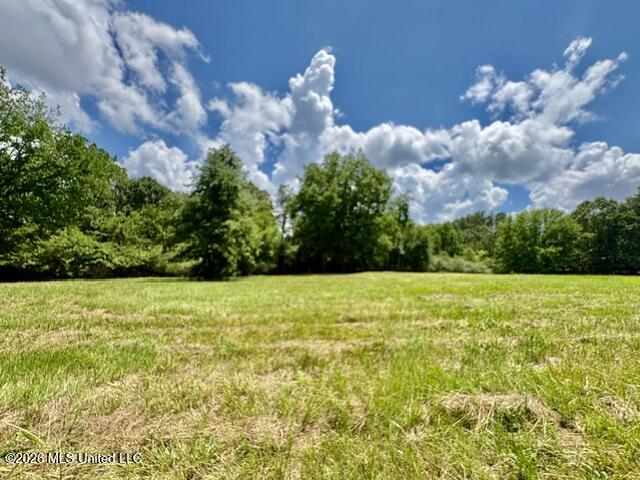 703 Burton Road Property Photo 1