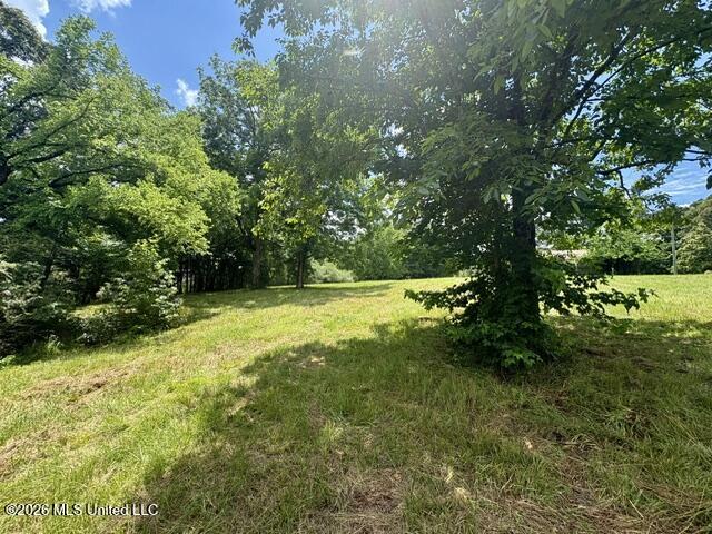 703 Burton Road Property Photo 2