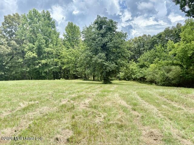 703 Burton Road Property Photo 3