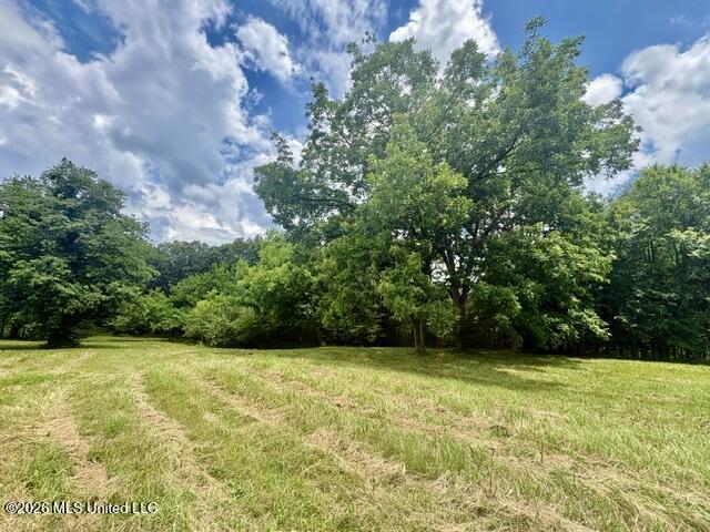 703 Burton Road Property Photo 4