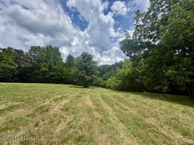 703 Burton Road Property Photo 5