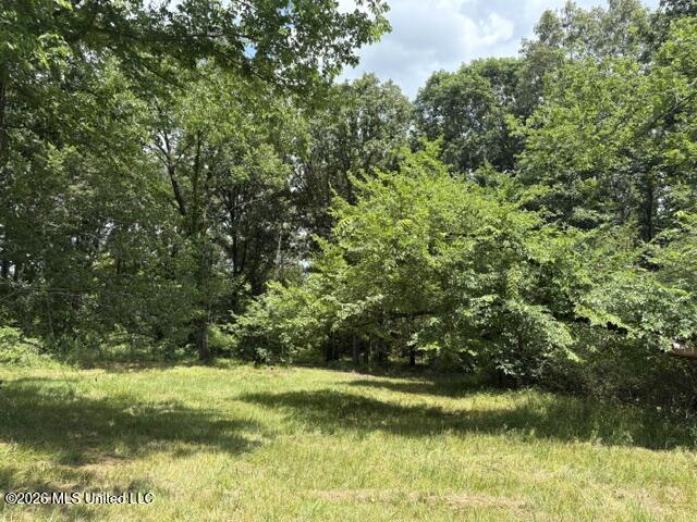 703 Burton Road Property Photo 6