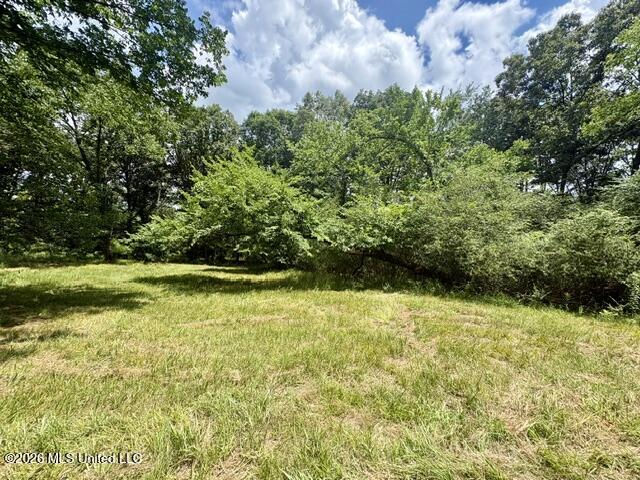 703 Burton Road Property Photo 7