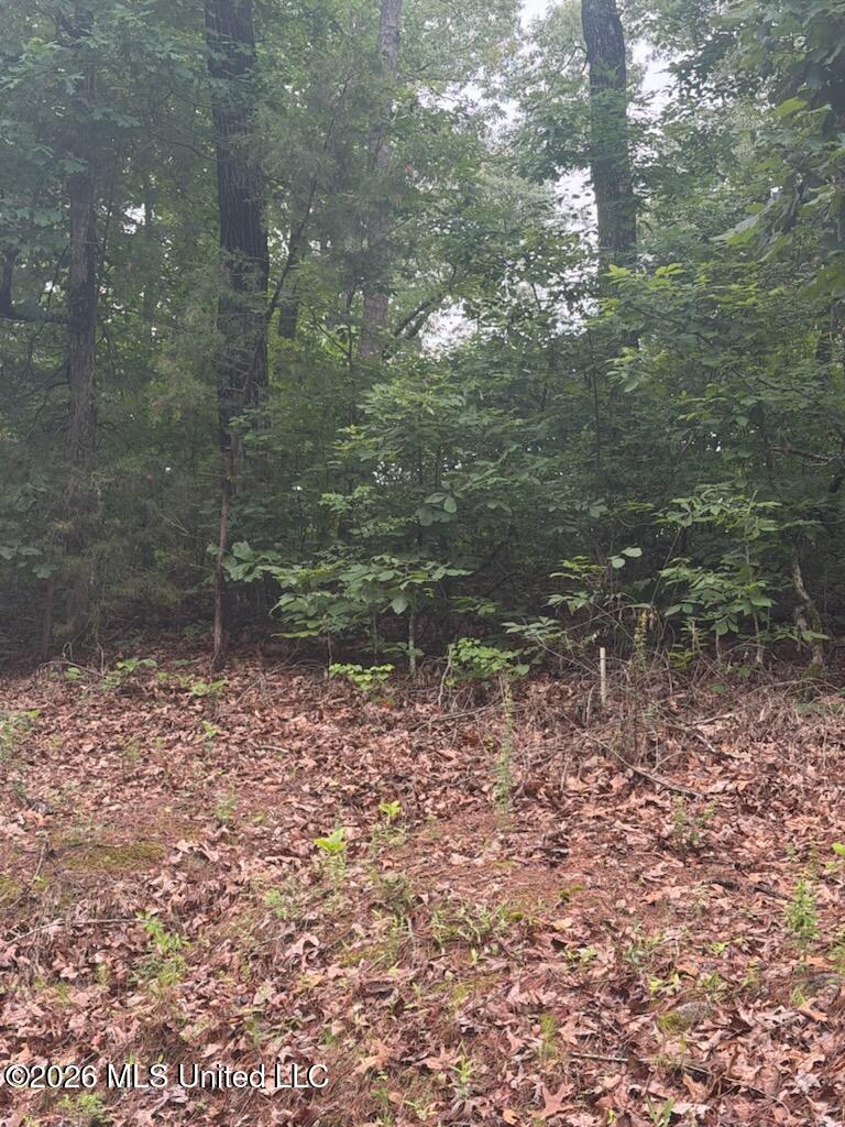 Shurden Owen Drive Property Photo 1