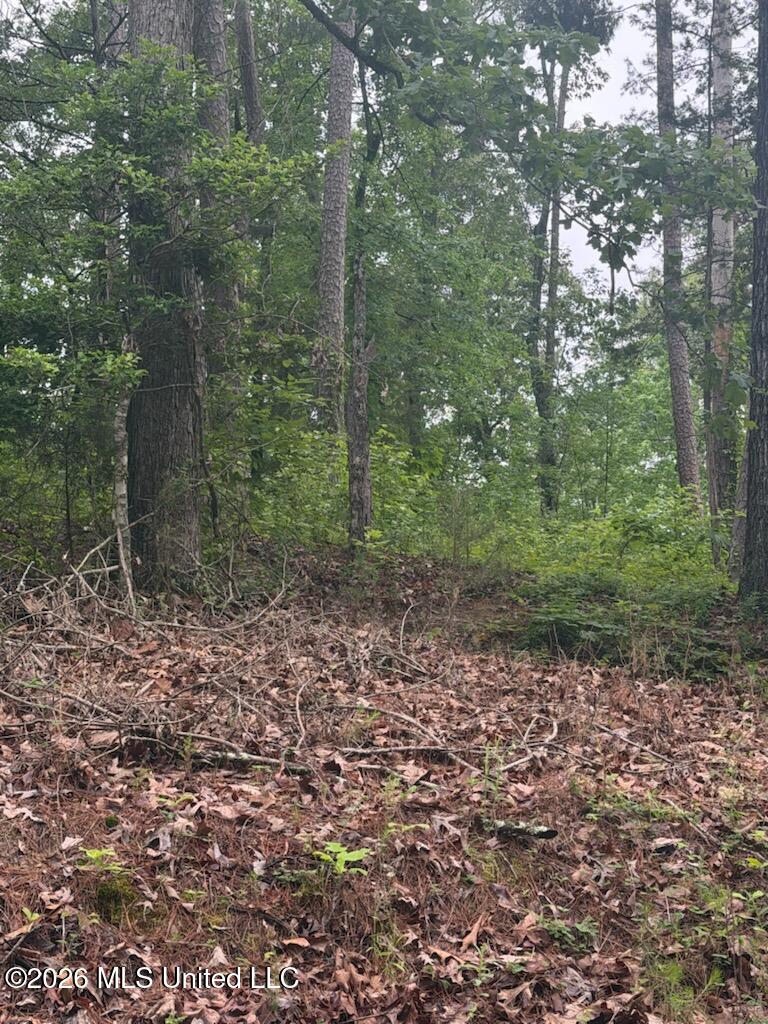 Shurden Owen Drive Property Photo 2