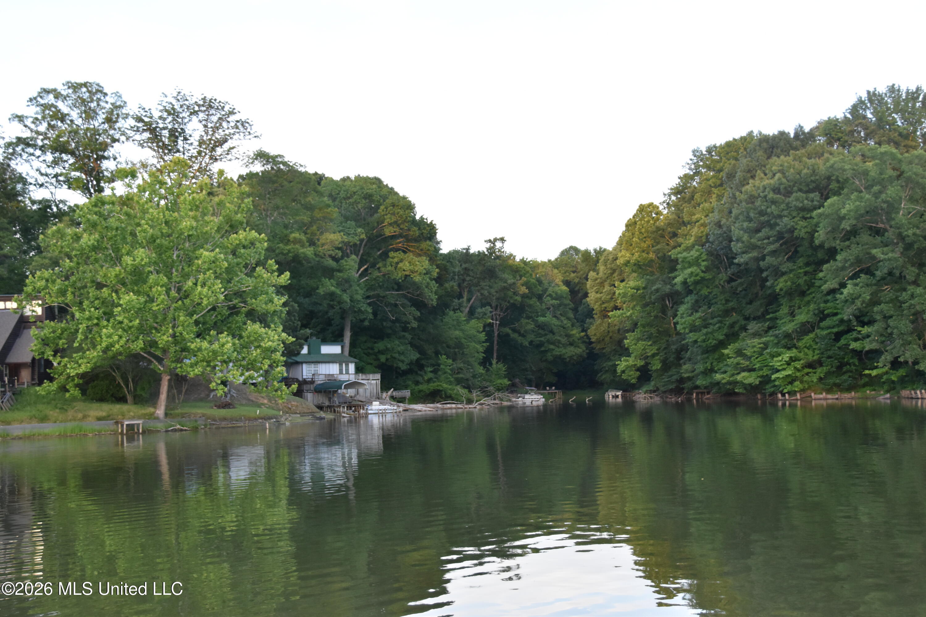 10863 Ben Vorlichs Head Property Photo 26