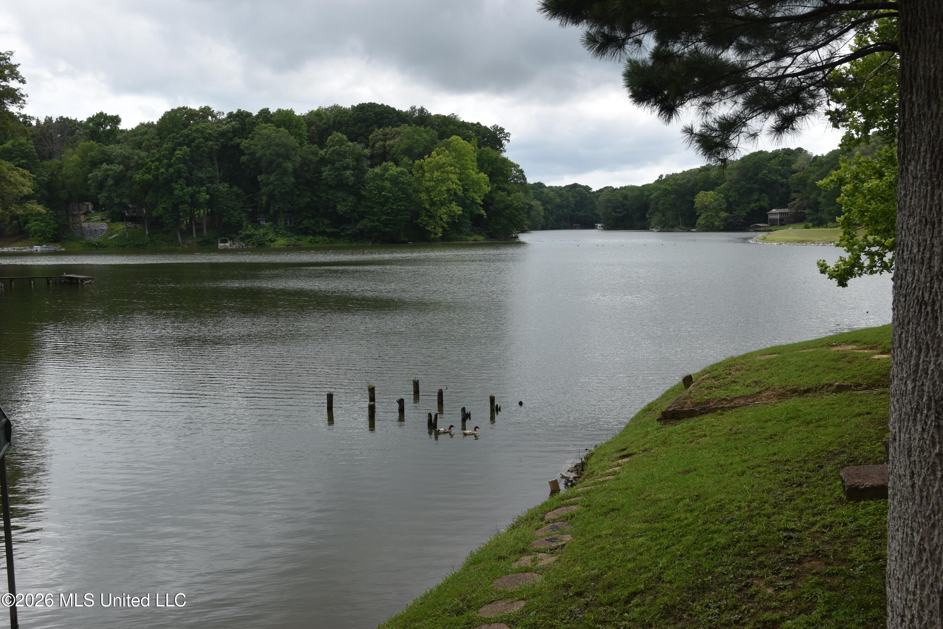 10863 Ben Vorlichs Head Property Photo 27