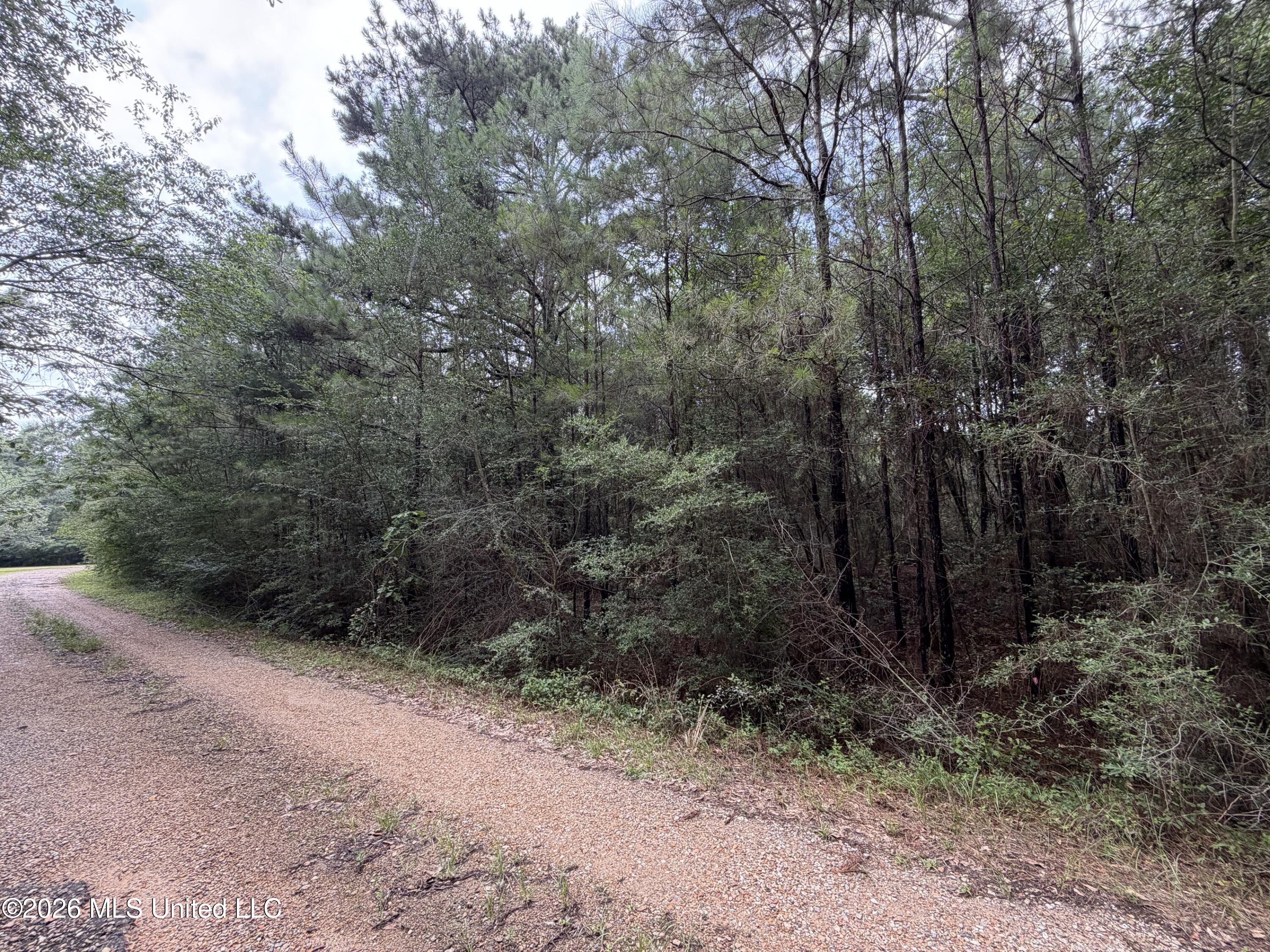 Misty Lane Property Photo 5