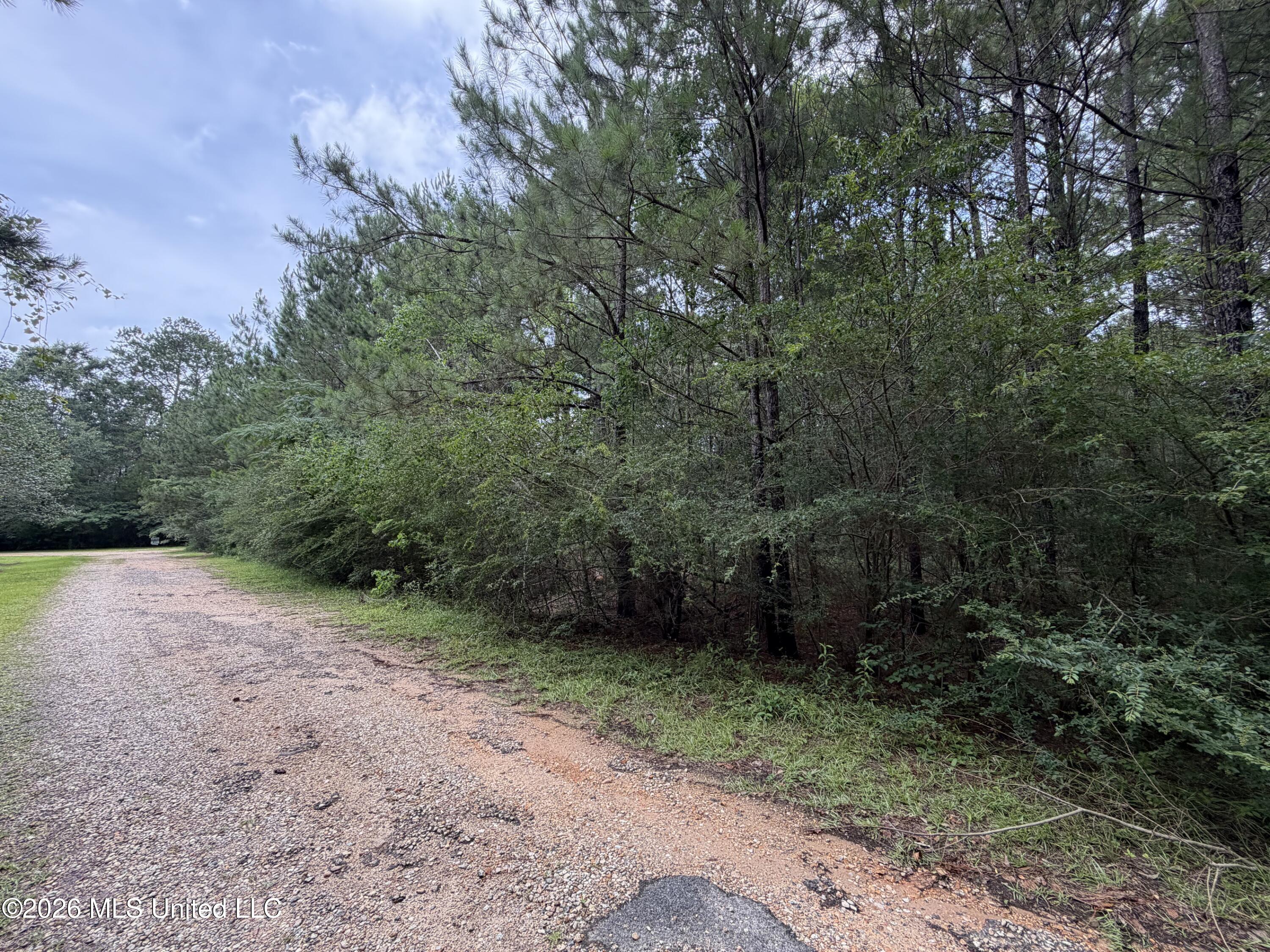 Misty Lane Property Photo 6