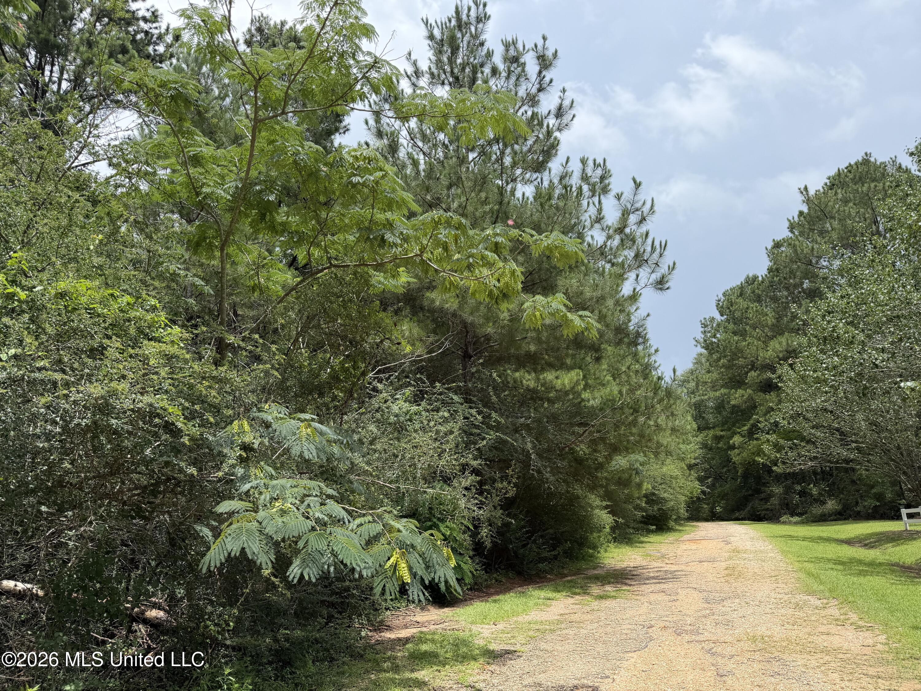 Misty Lane Property Photo 7