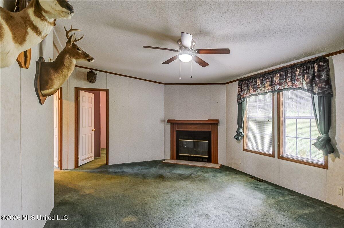 2041 King Road Property Photo 6