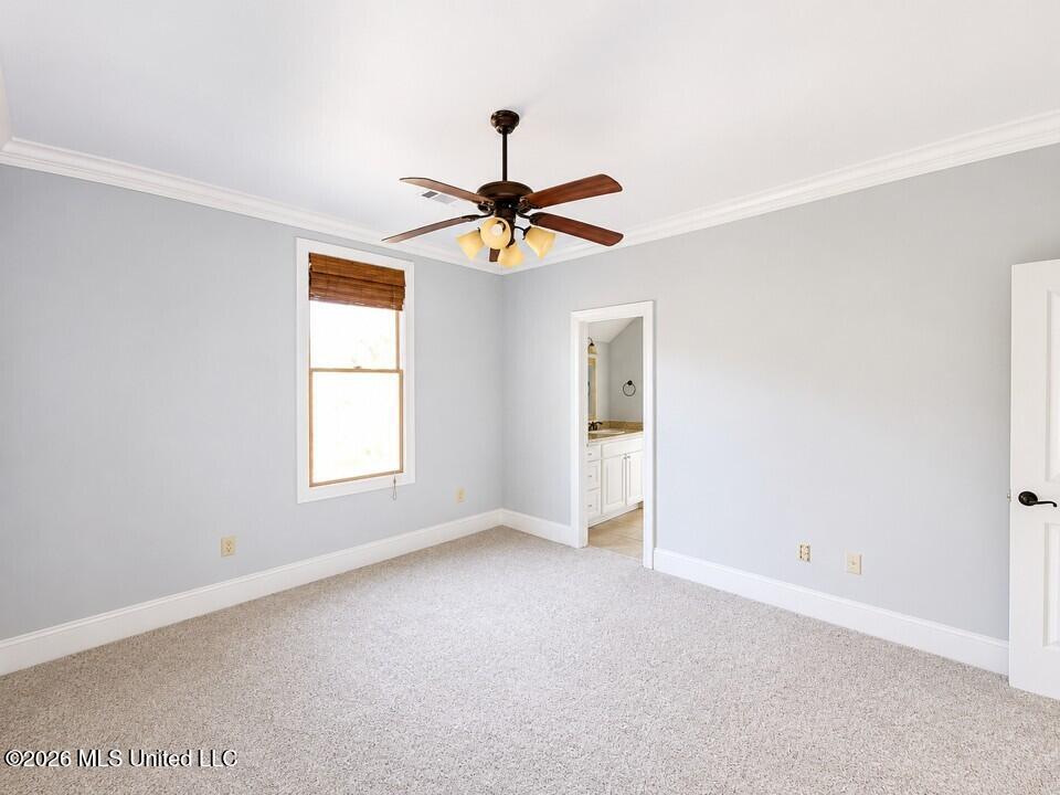 169 Saint Ives Drive Property Photo 18