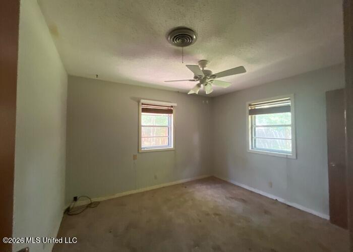 405 Springdale Drive Property Photo 13