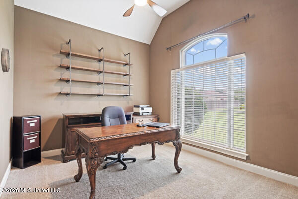 4832 Wedgewood Drive Property Photo 6
