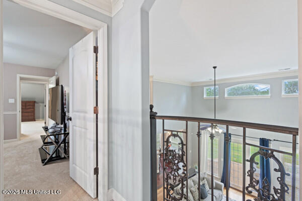4832 Wedgewood Drive Property Photo 22