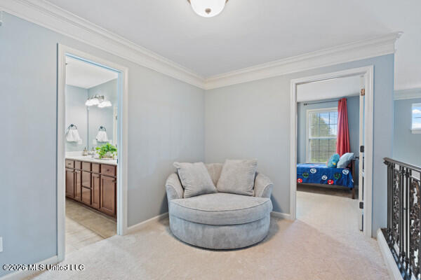 4832 Wedgewood Drive Property Photo 23