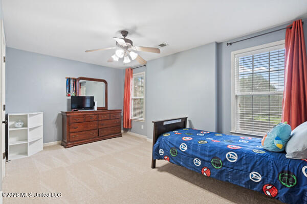 4832 Wedgewood Drive Property Photo 24