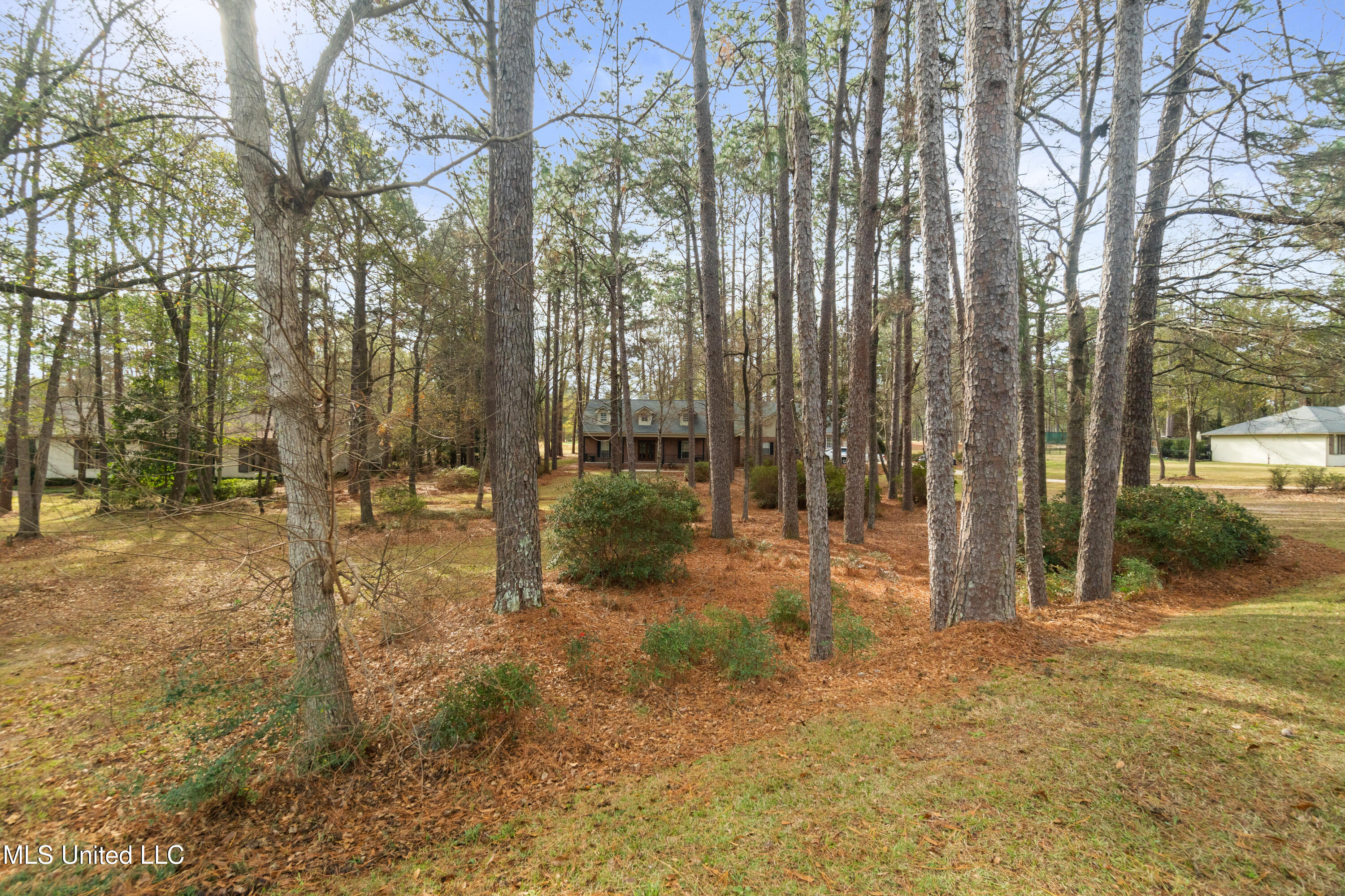 87 Fairlake Drive Property Photo 59
