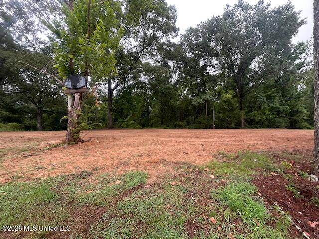 2347 Attala Road 4112 Property Photo 1