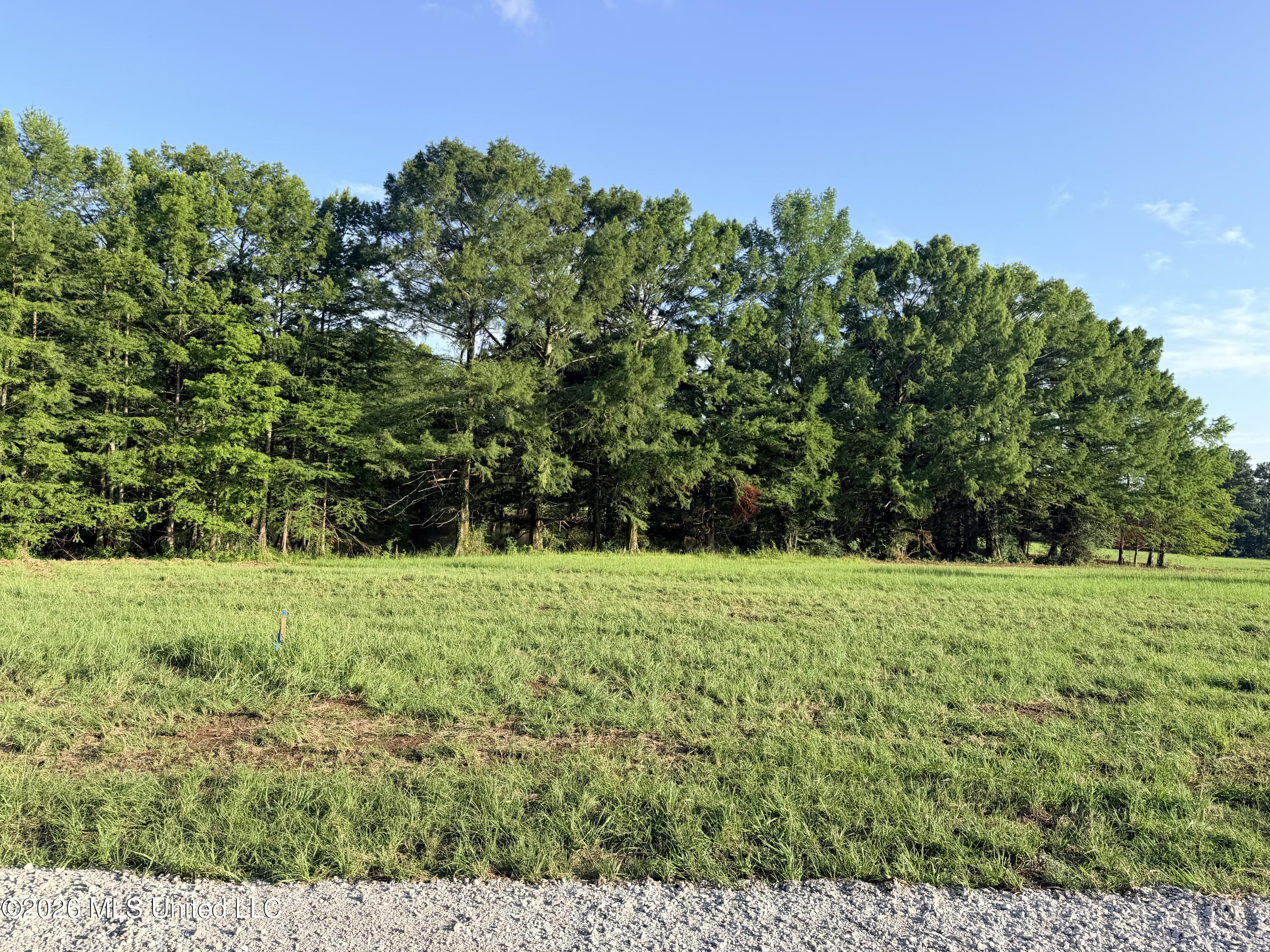 Lot #3 Wildwood At Pinehaven Drive Property Photo 19