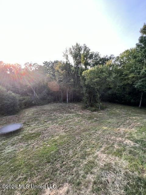 118 Christmas Lane Property Photo 43