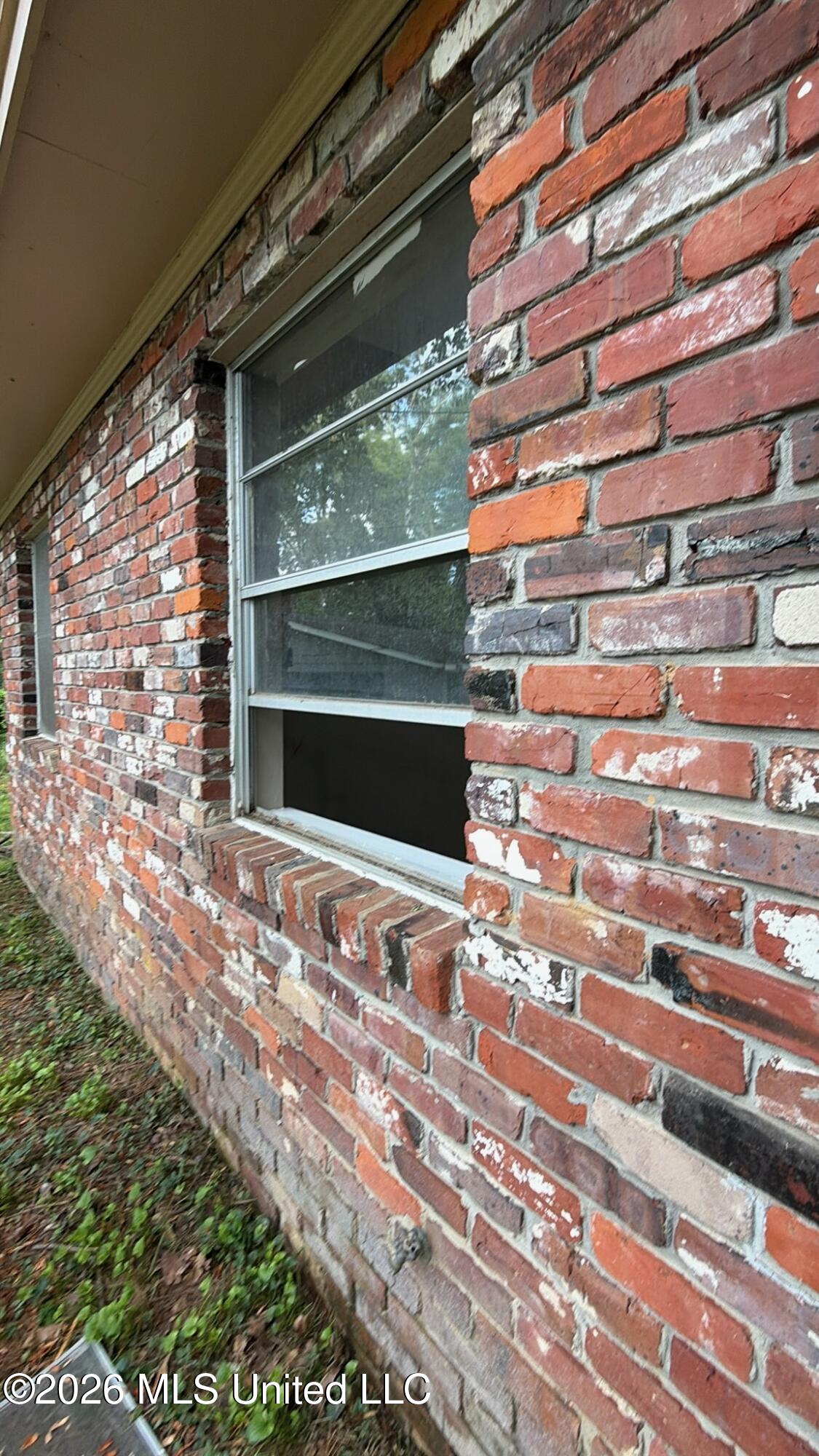 2650 Maria Terrace Property Photo 3