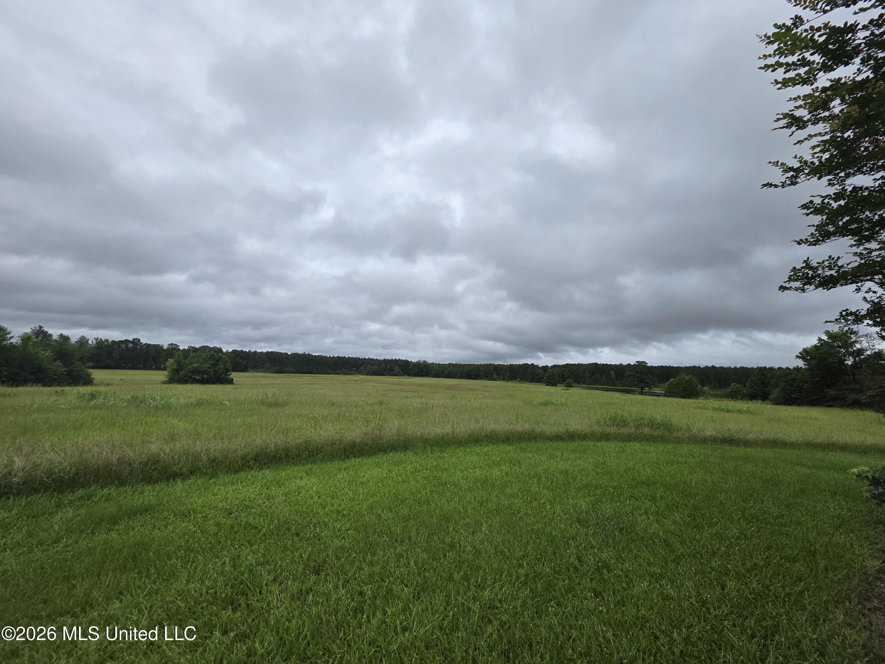 244 Foster Road Property Photo 26
