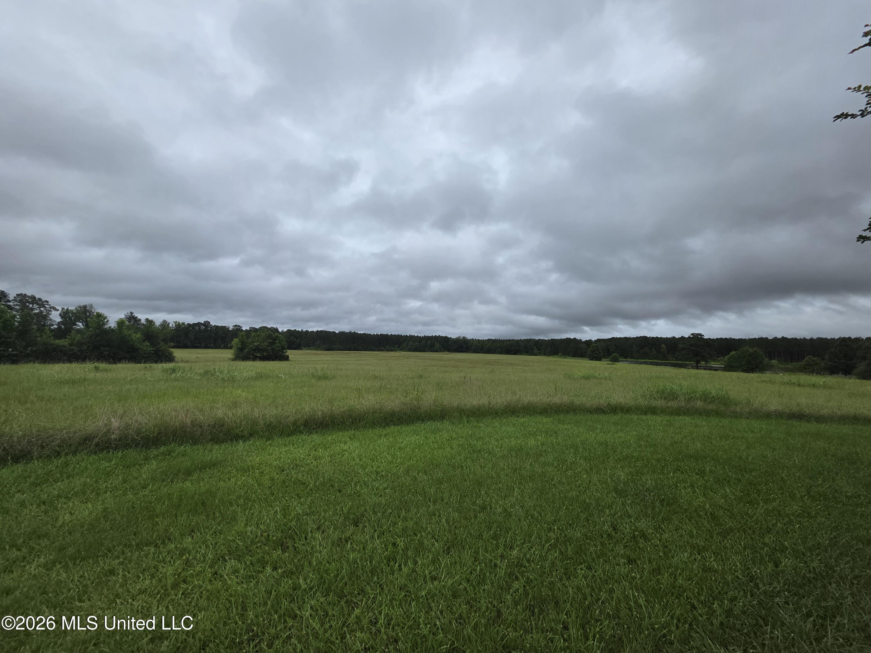 244 Foster Road Property Photo 27