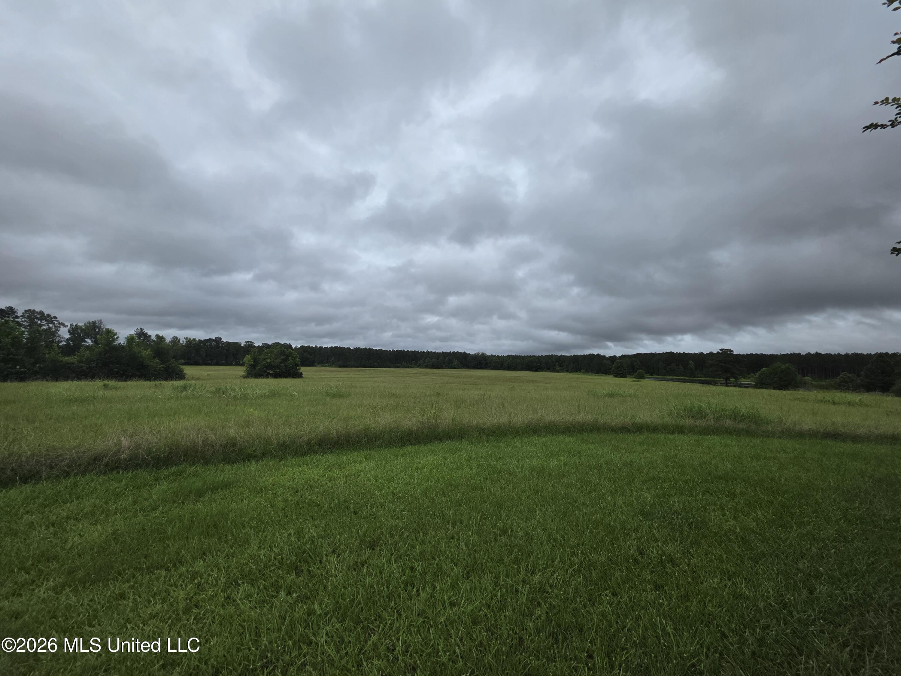 244 Foster Road Property Photo 28