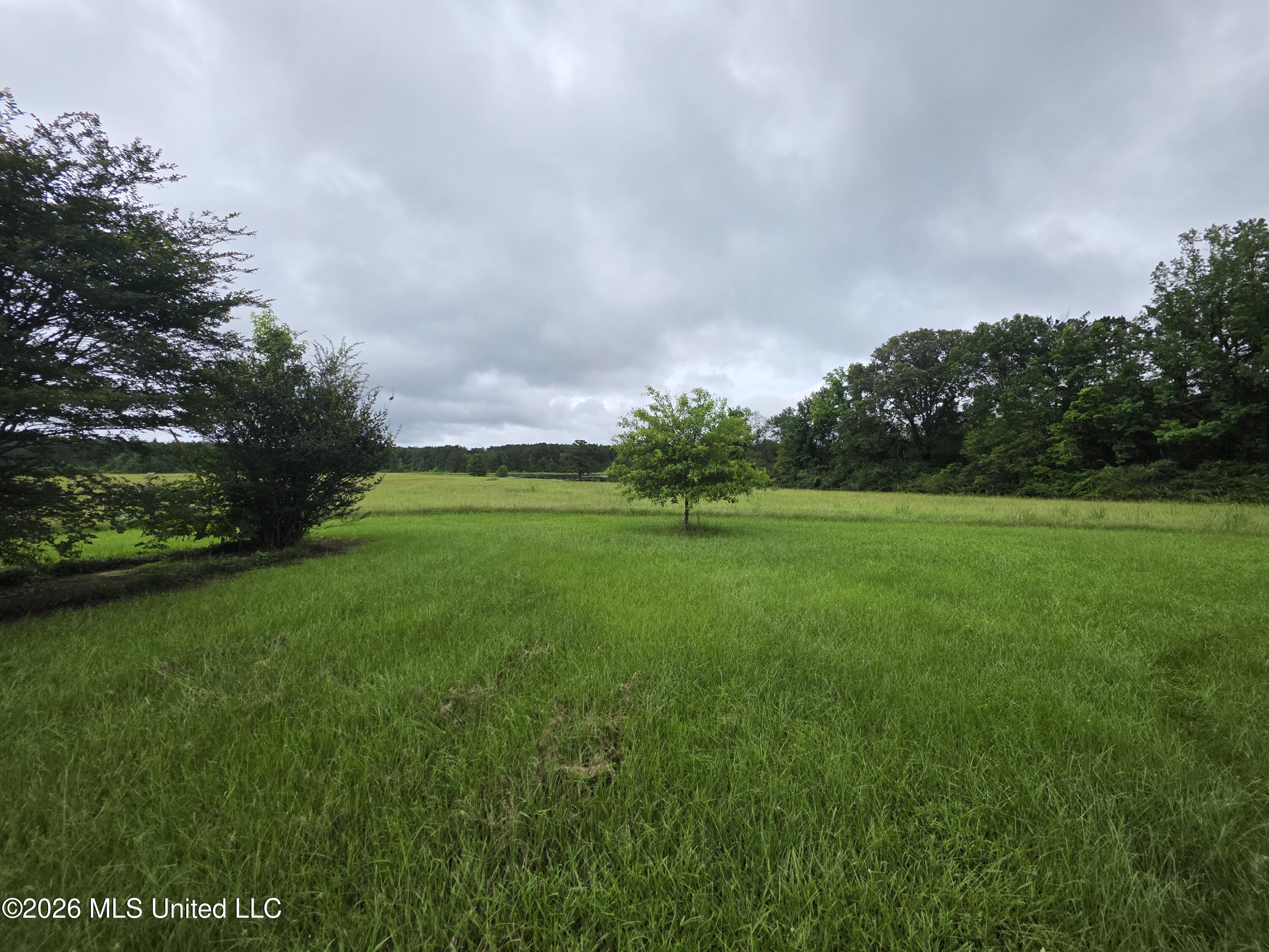 244 Foster Road Property Photo 29