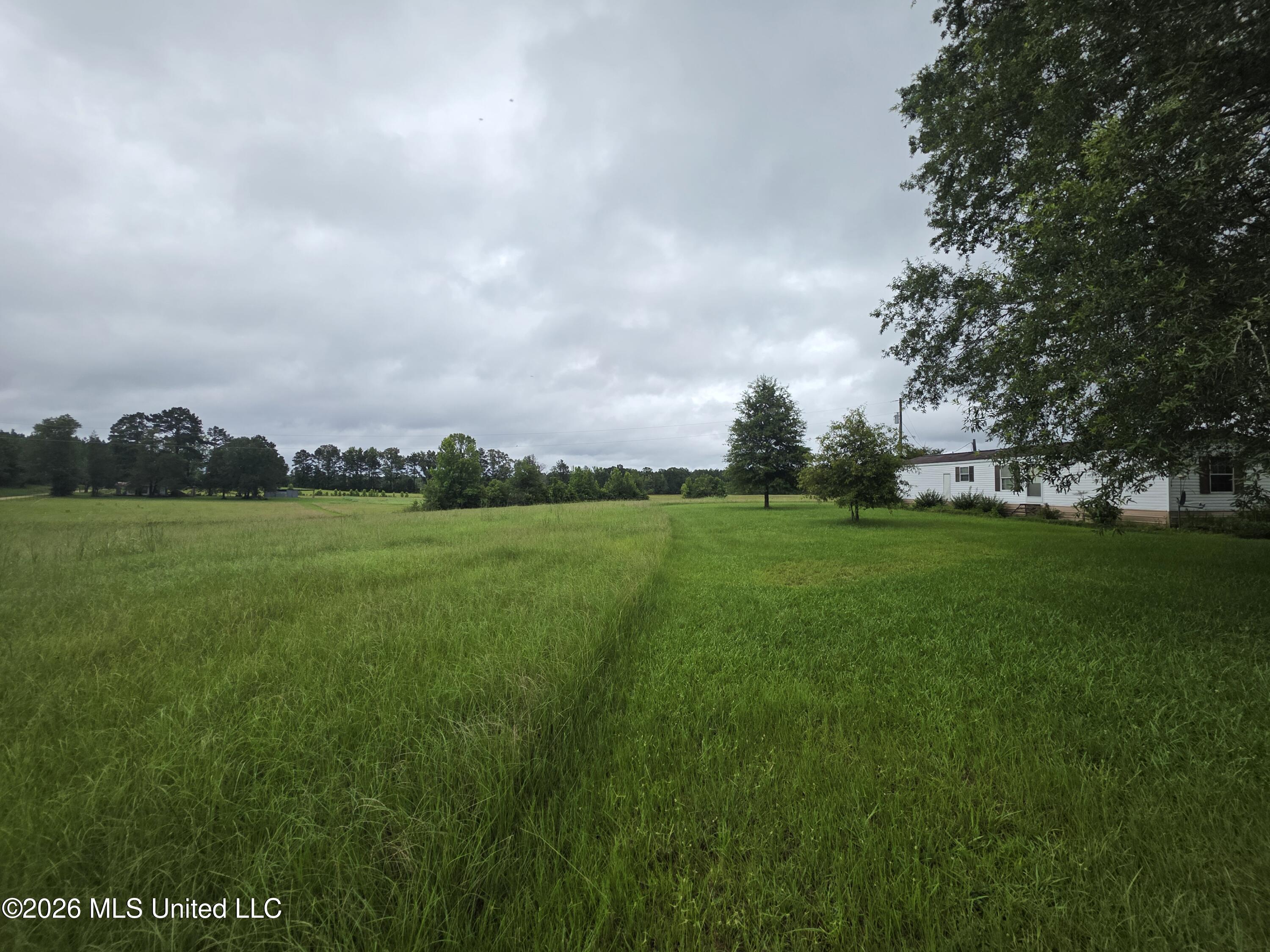 244 Foster Road Property Photo 30