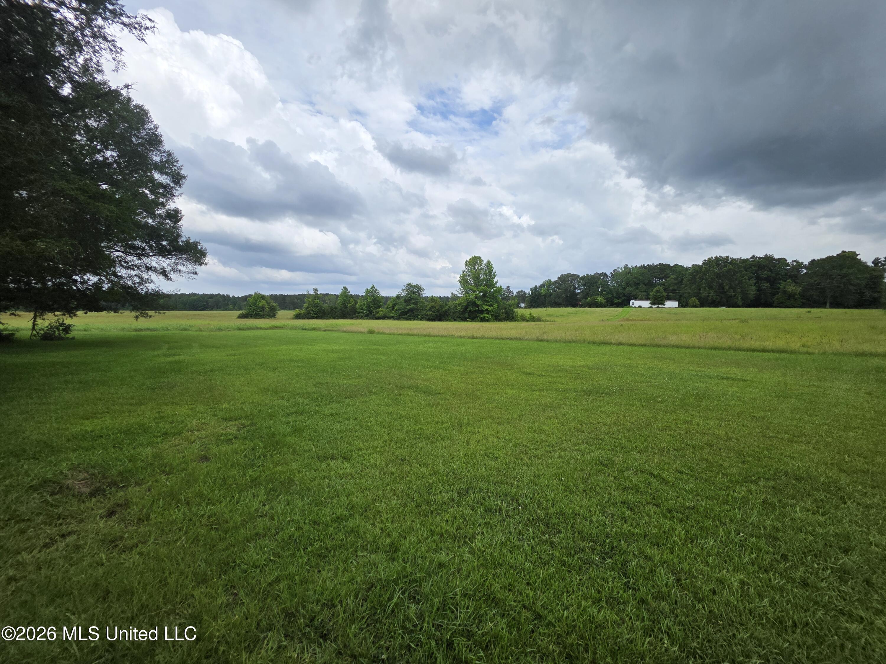 244 Foster Road Property Photo 34