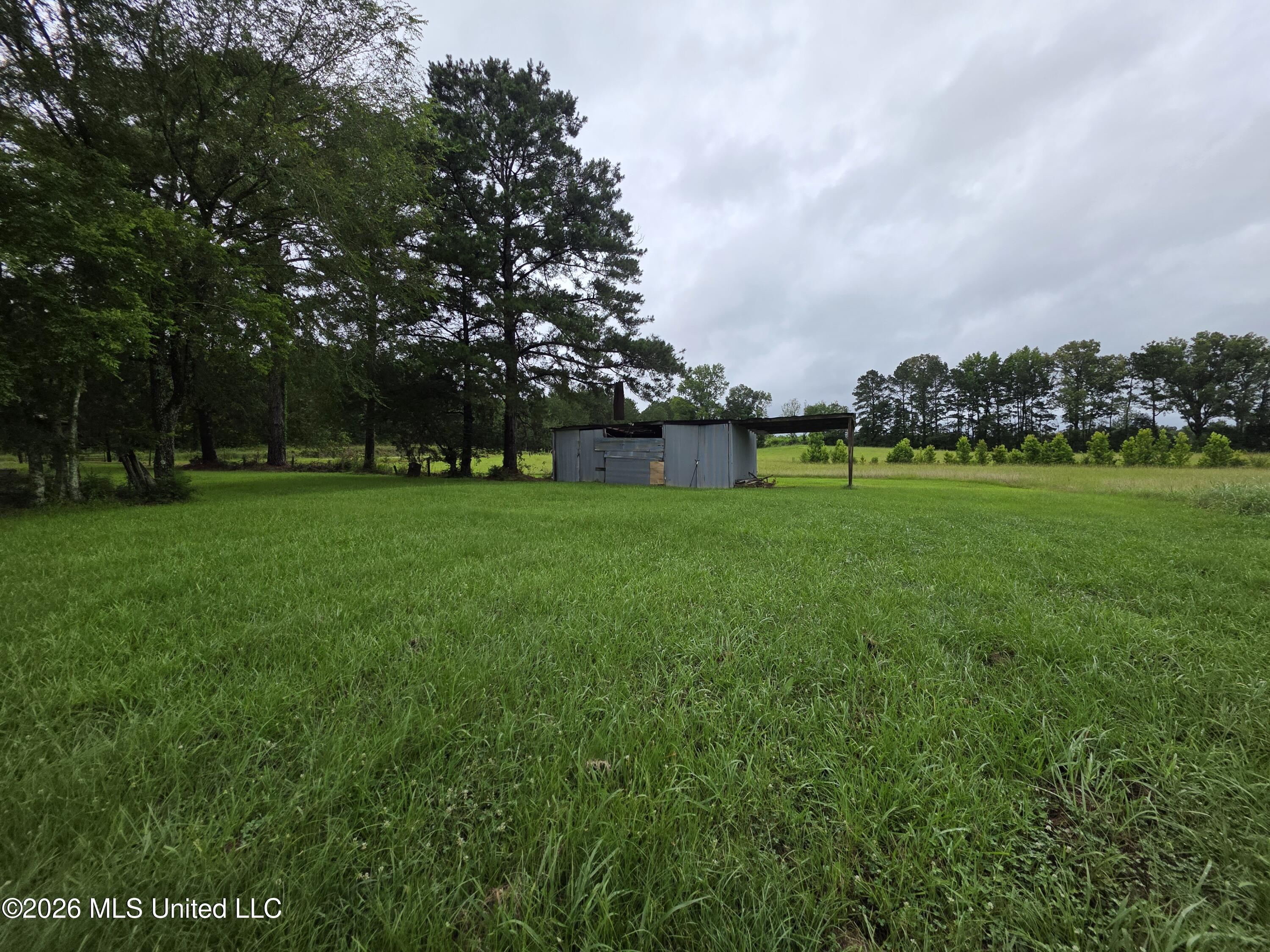 244 Foster Road Property Photo 36