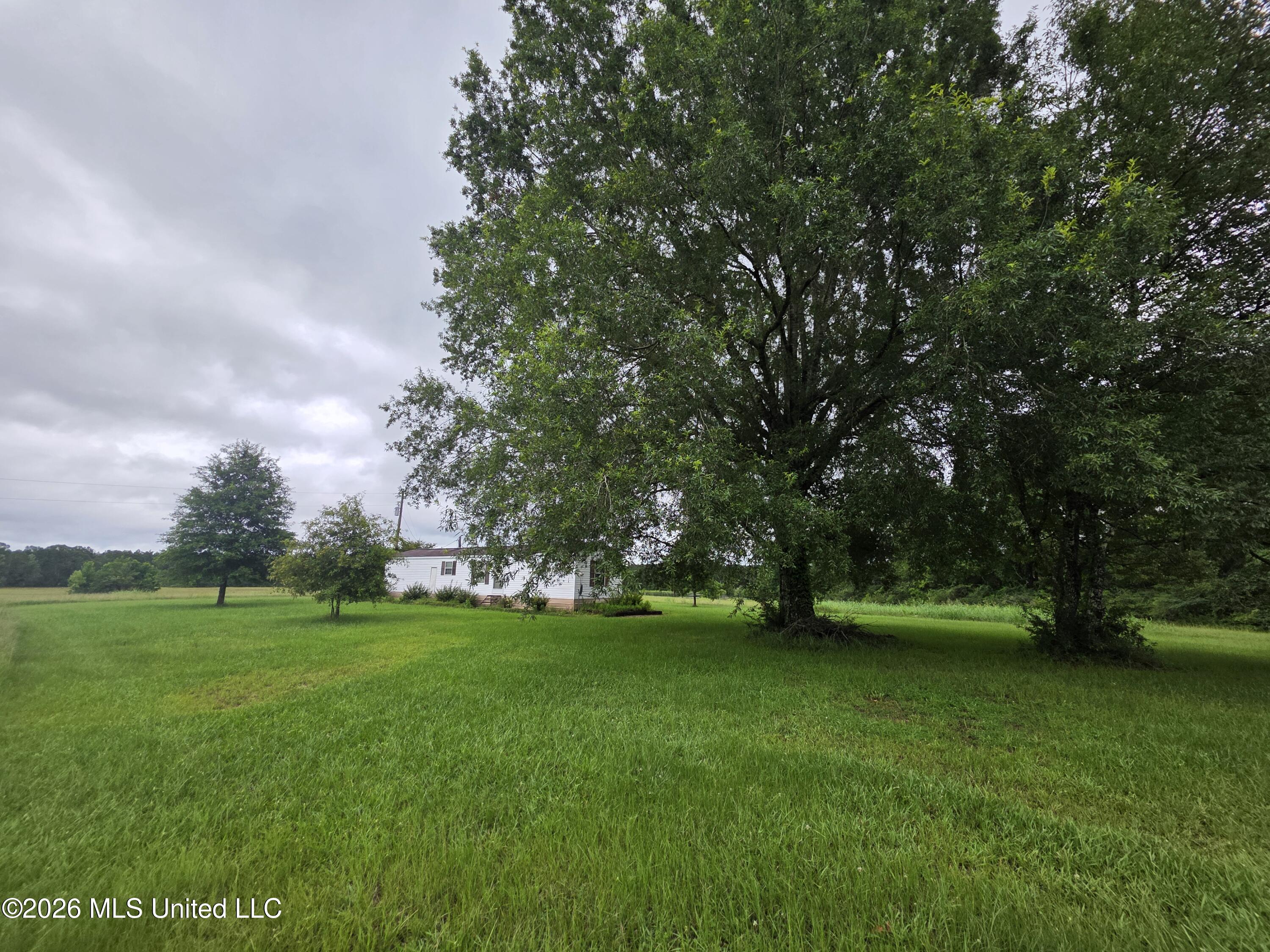 244 Foster Road Property Photo 38