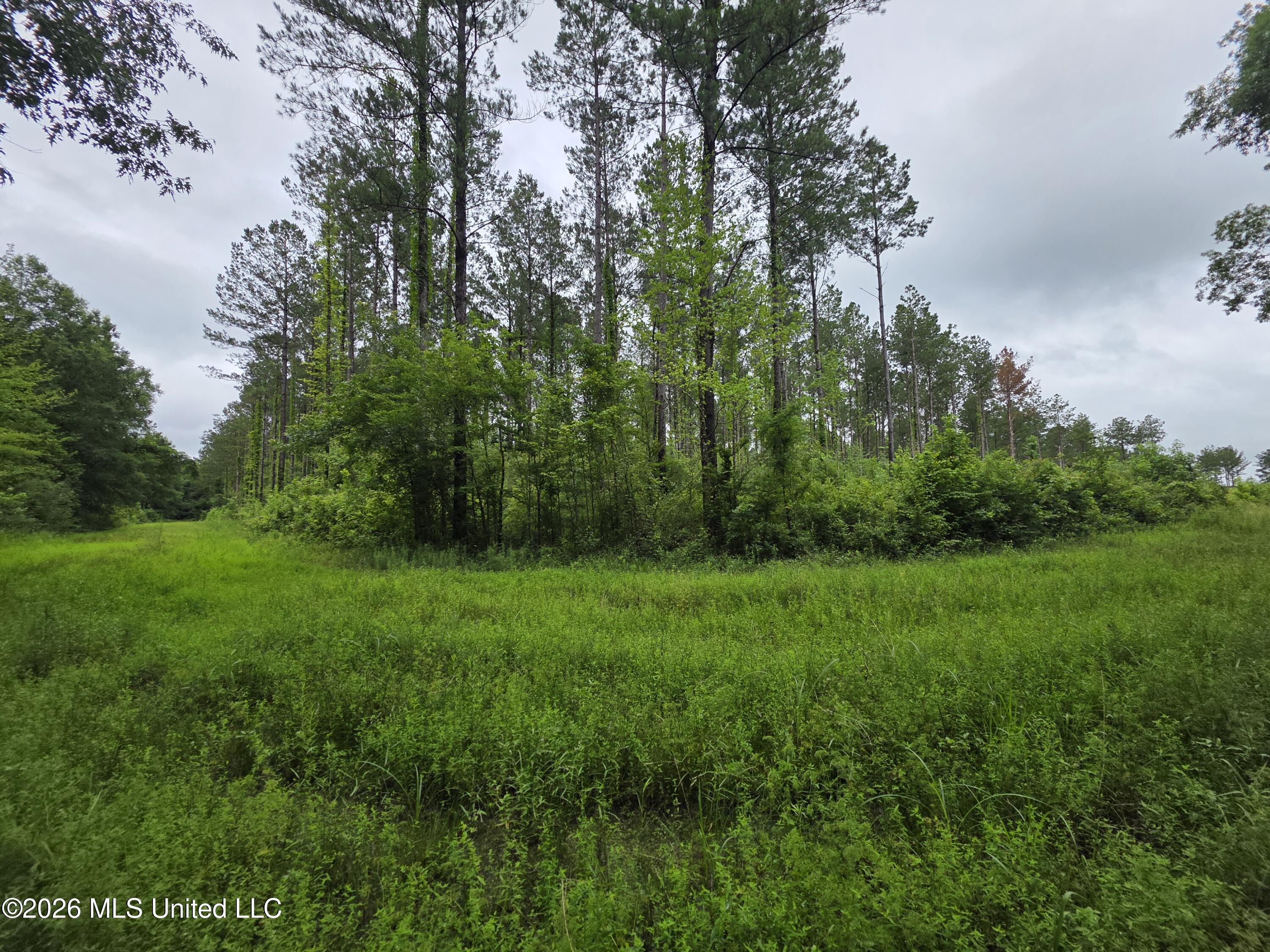 244 Foster Road Property Photo 39