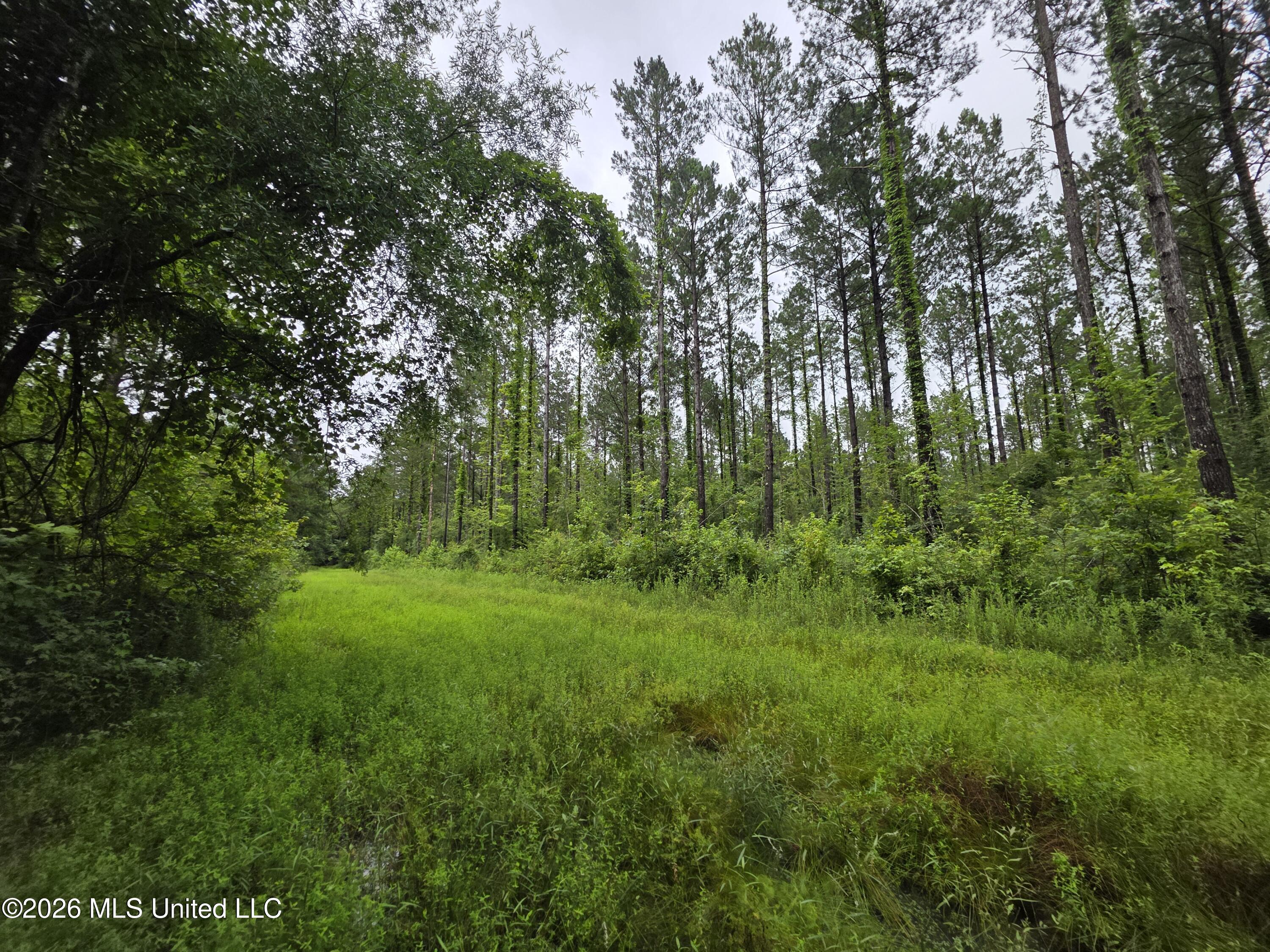 244 Foster Road Property Photo 40