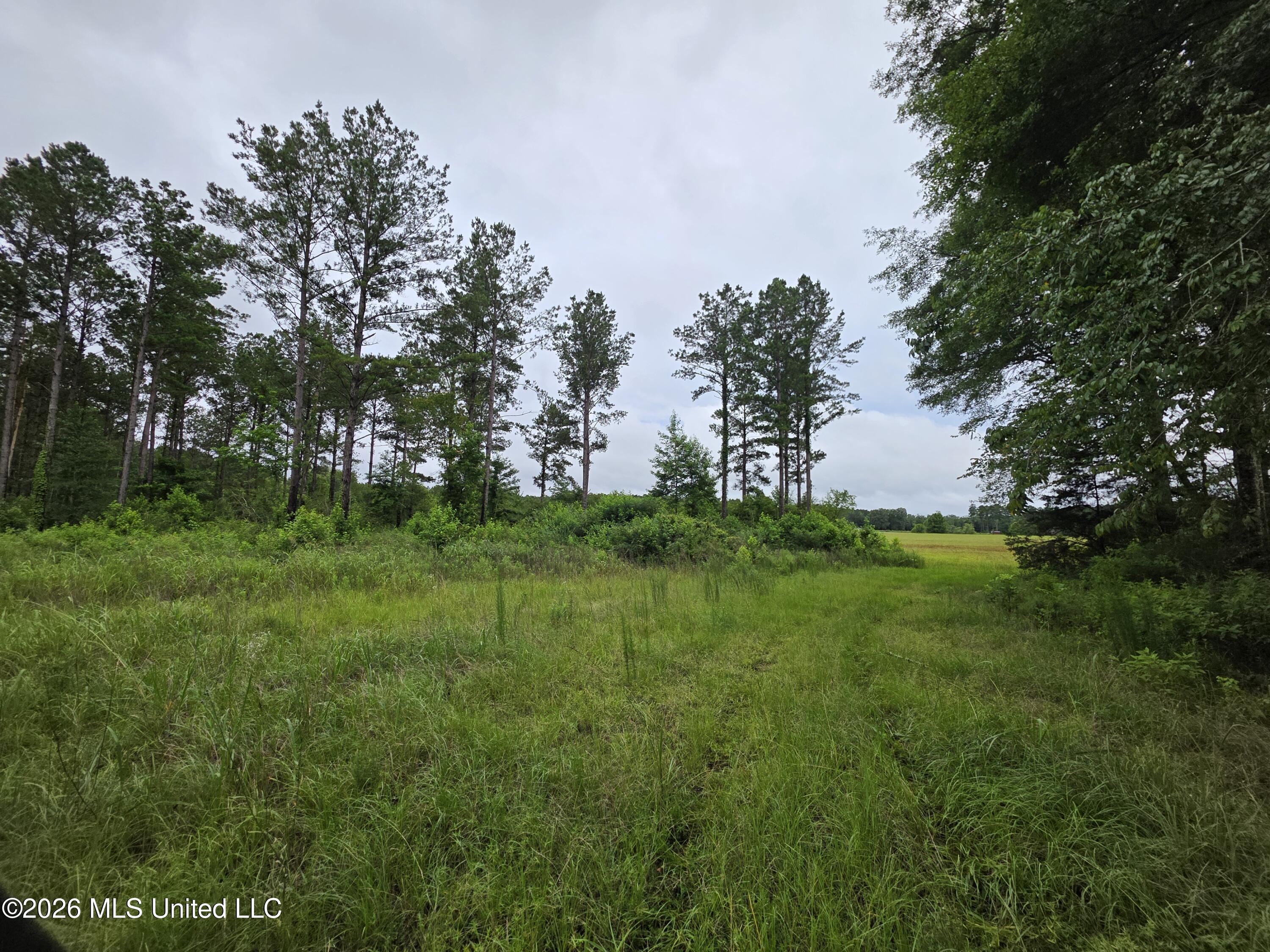 244 Foster Road Property Photo 42