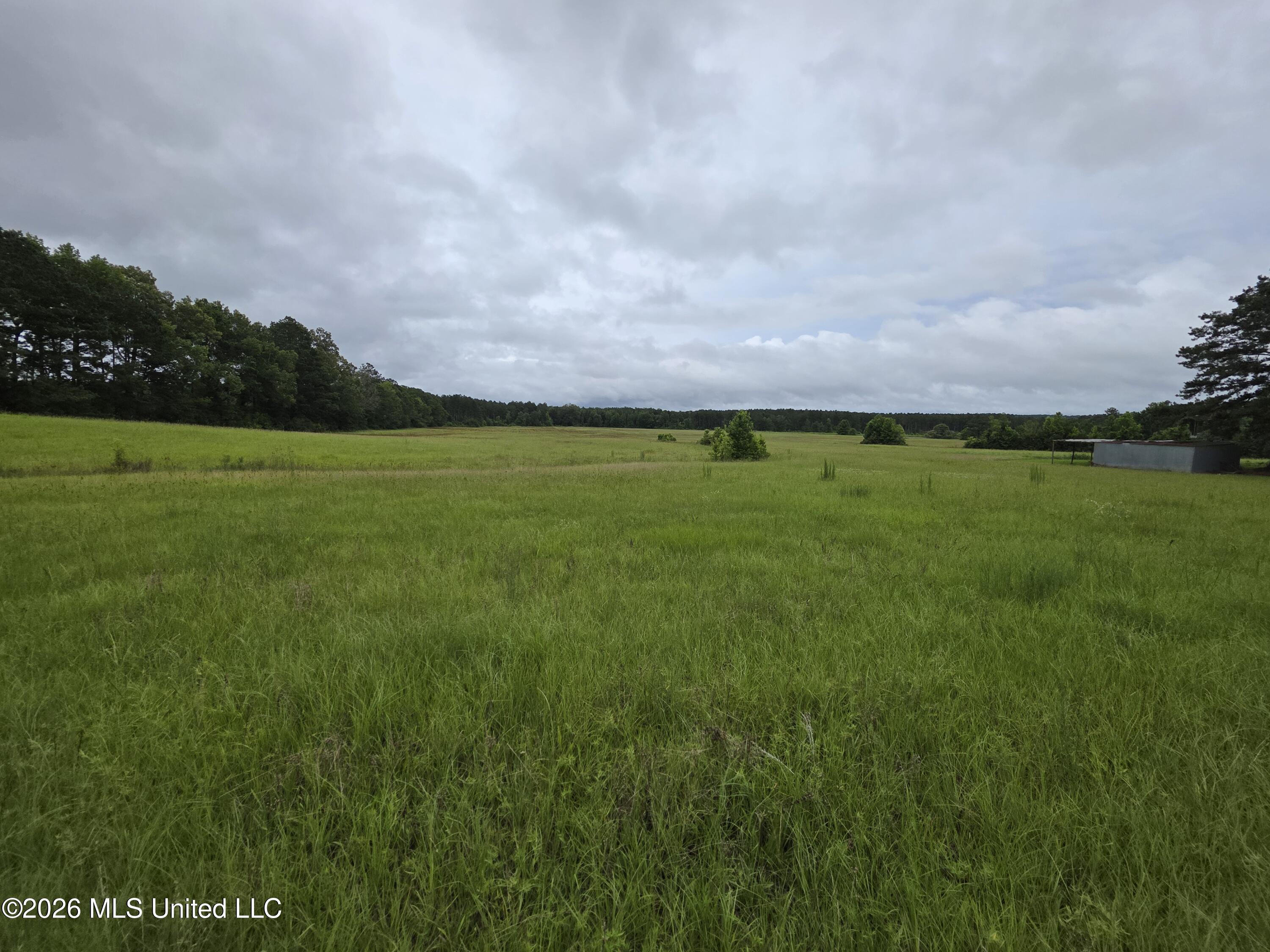 244 Foster Road Property Photo 43