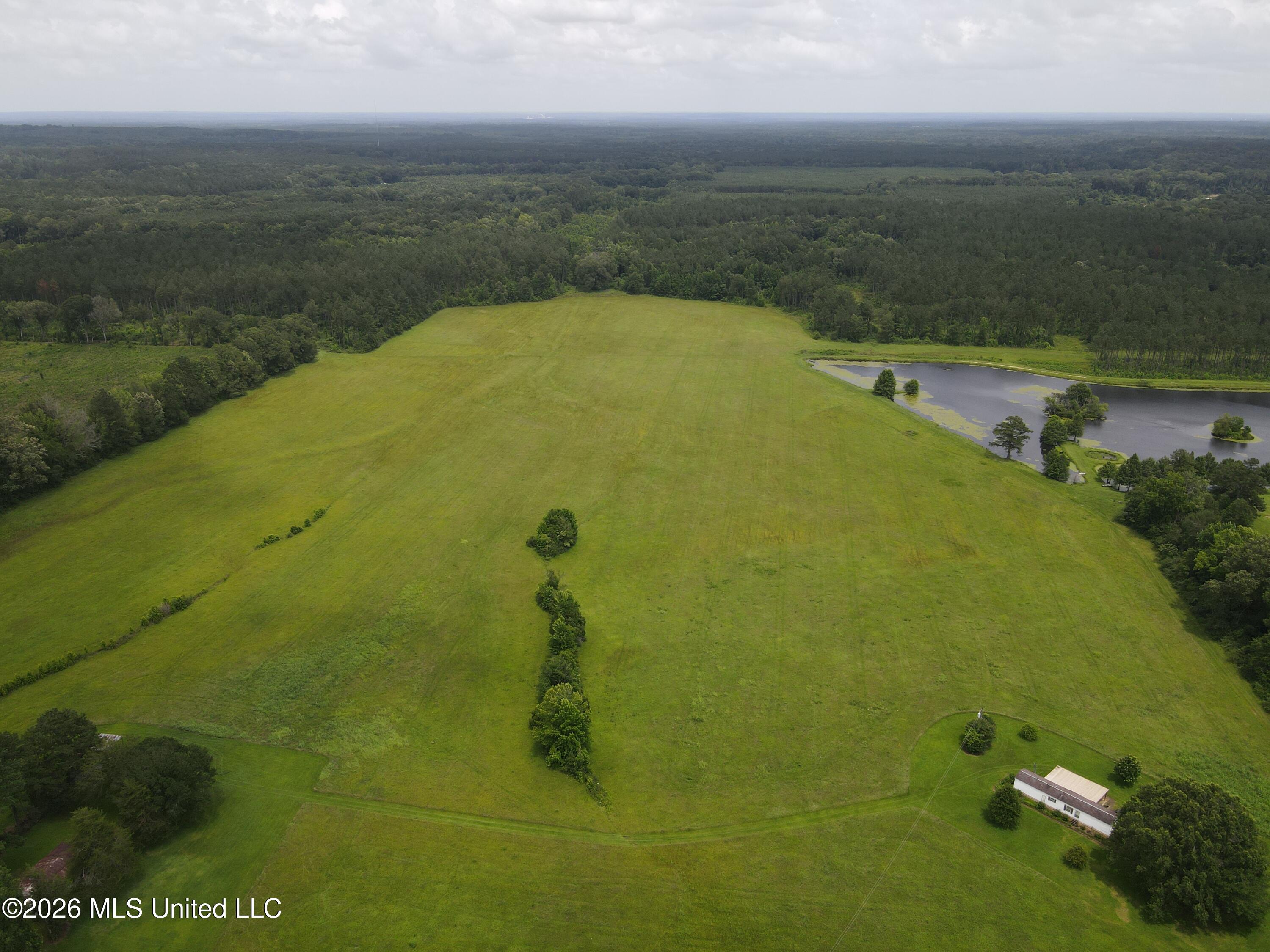 244 Foster Road Property Photo 46