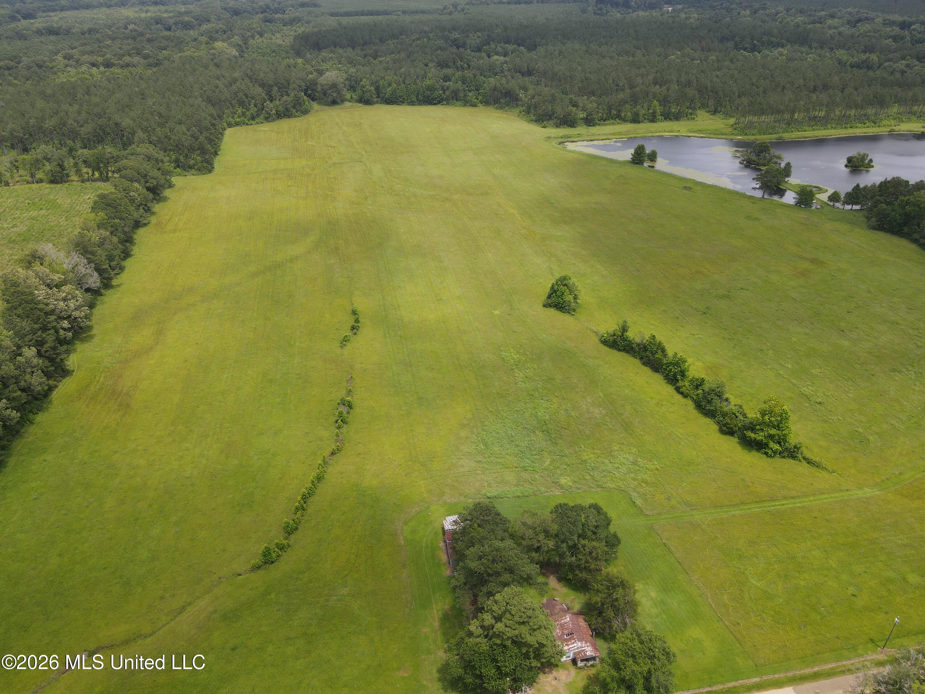 244 Foster Road Property Photo 47