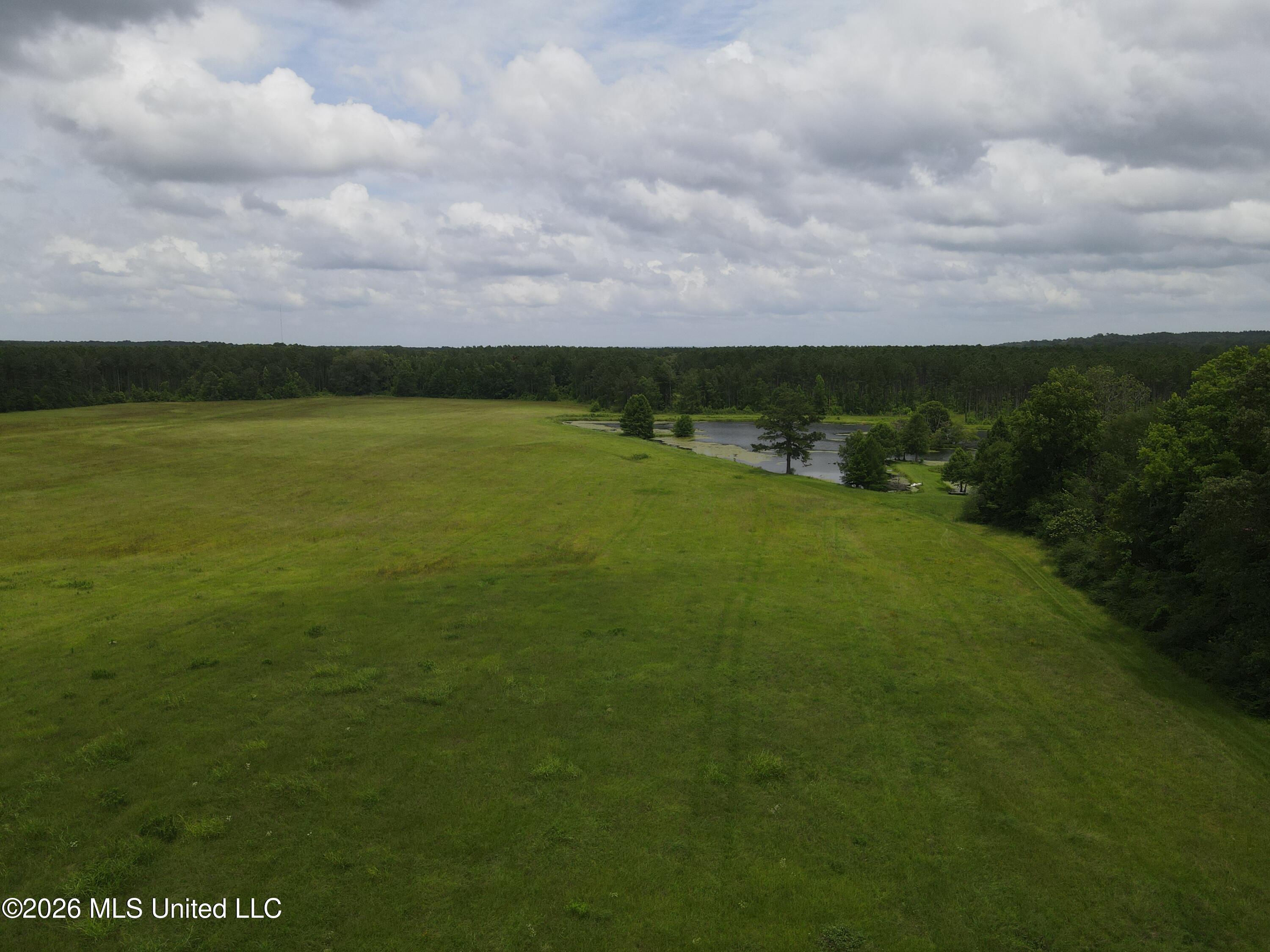 244 Foster Road Property Photo 49