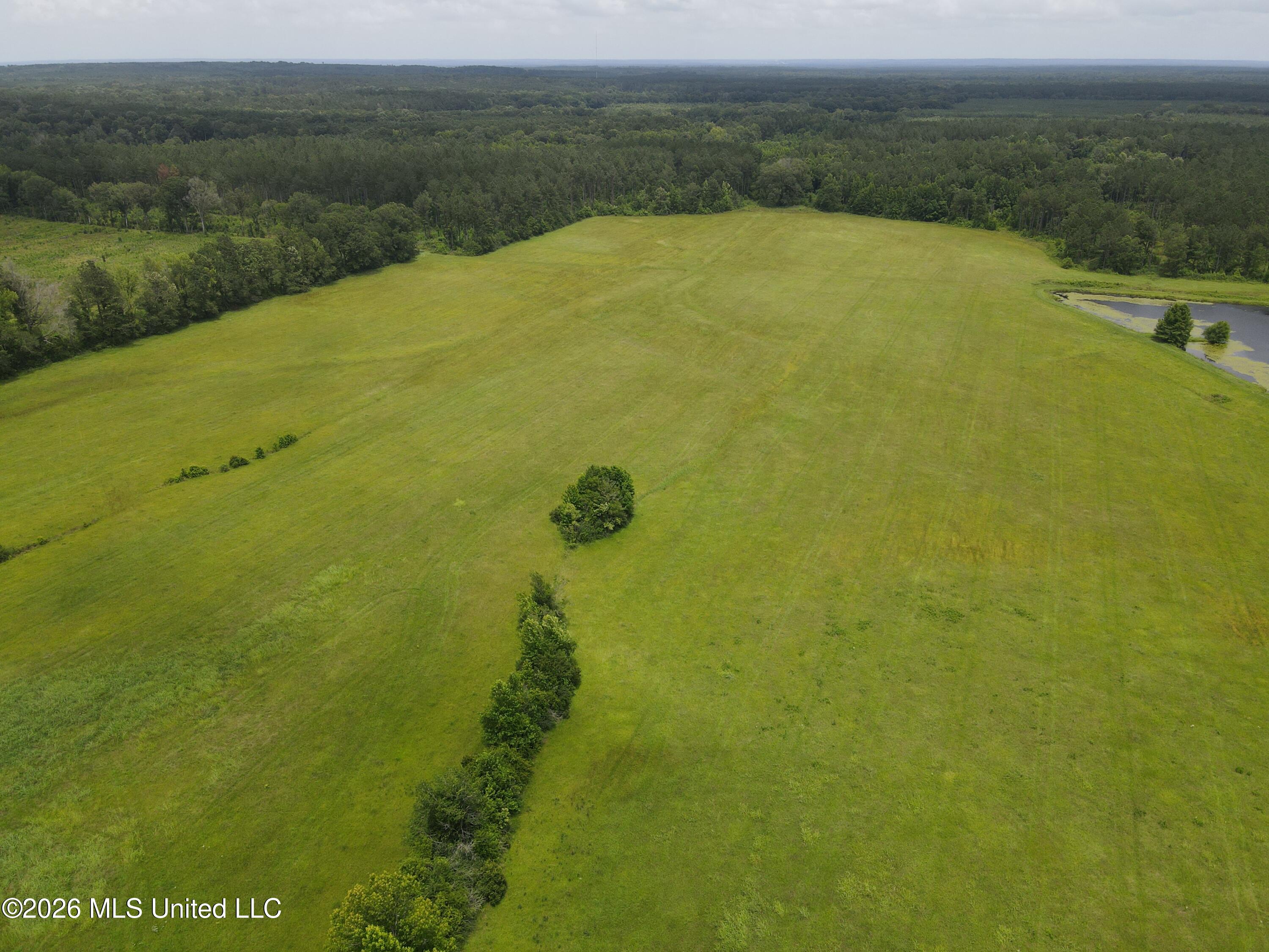 244 Foster Road Property Photo 50