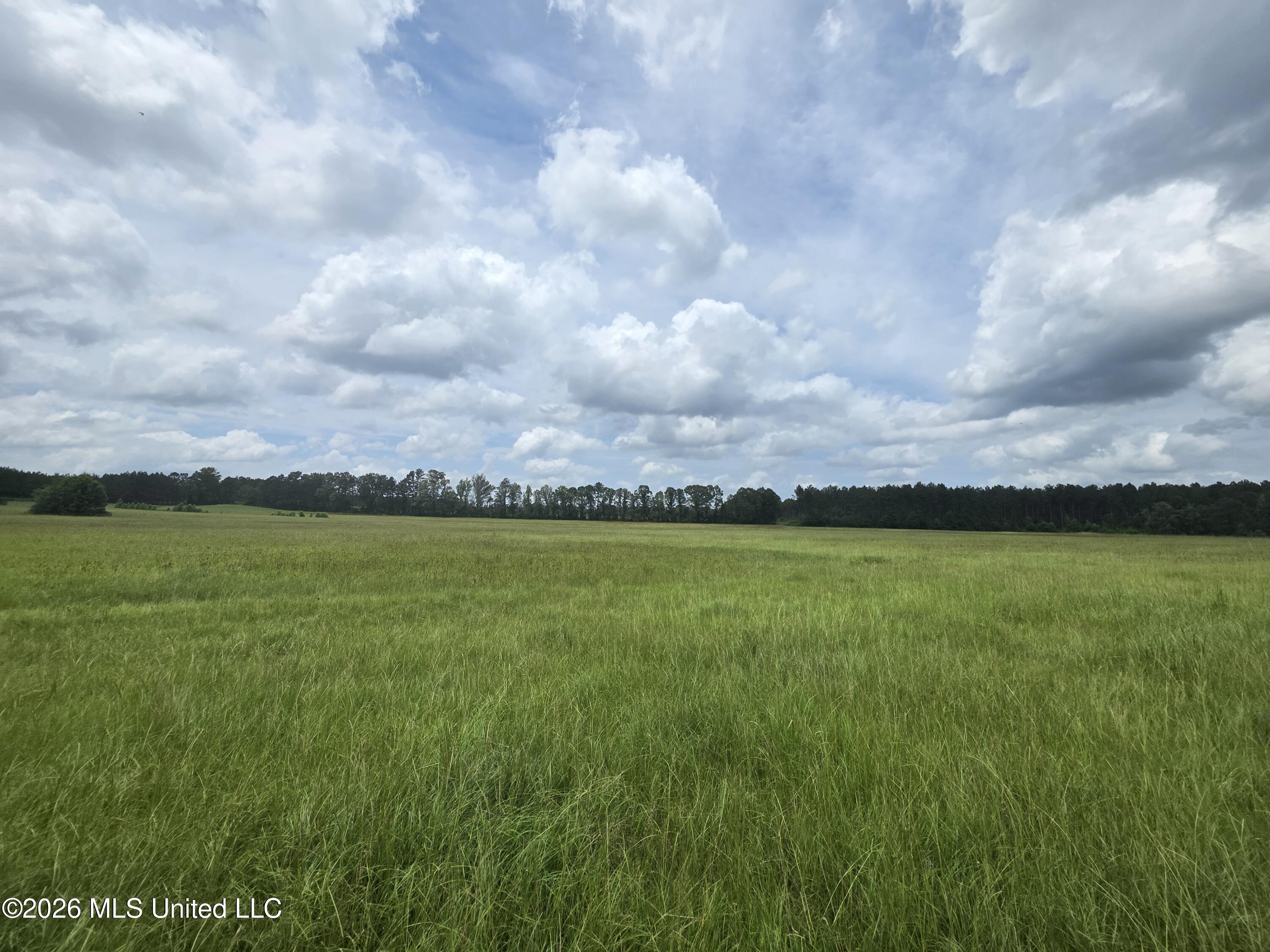 244 Foster Road Property Photo 51