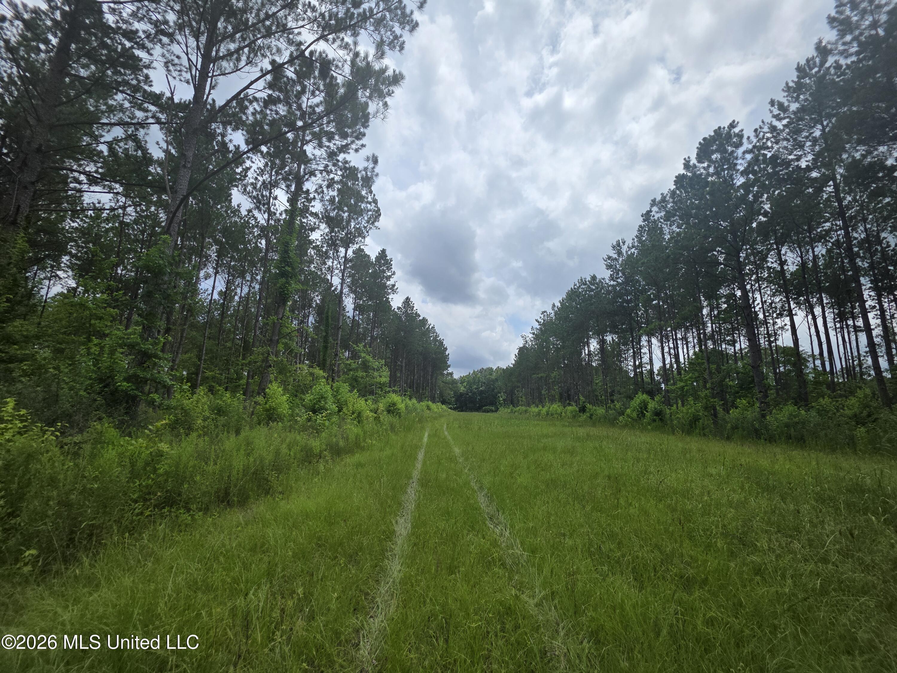 244 Foster Road Property Photo 53