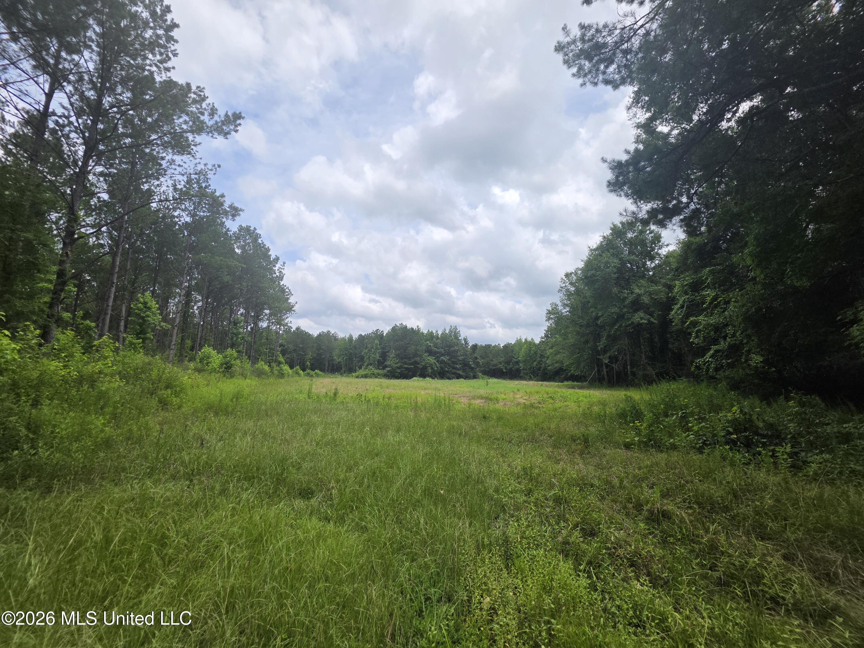 244 Foster Road Property Photo 54
